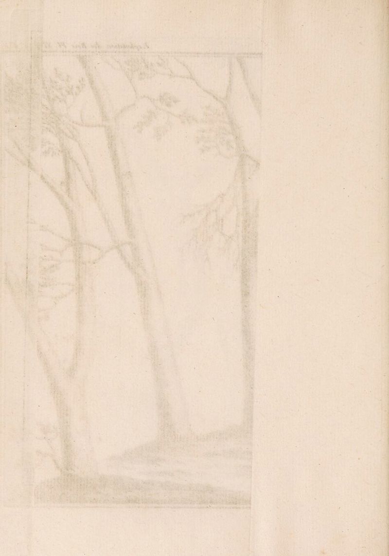 ■ V - , V * s-, ffe ■ . - • -