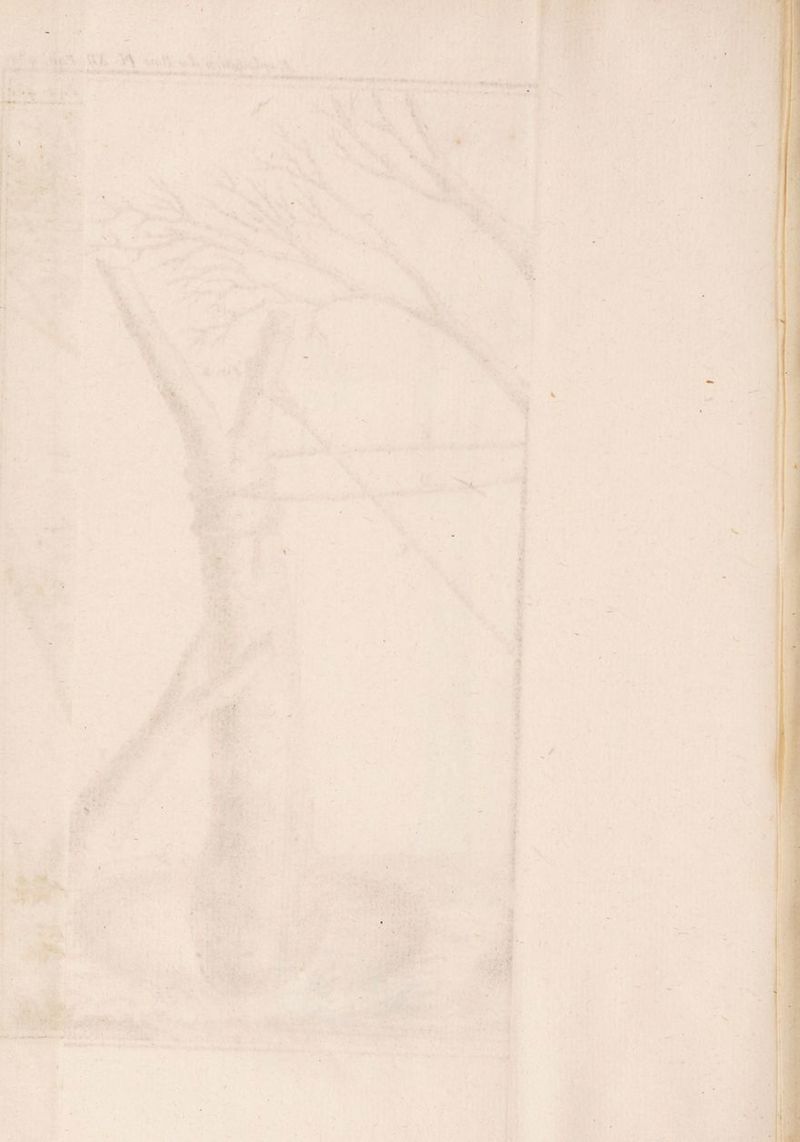 N ' ■ , ' ' . « . ' ■ .