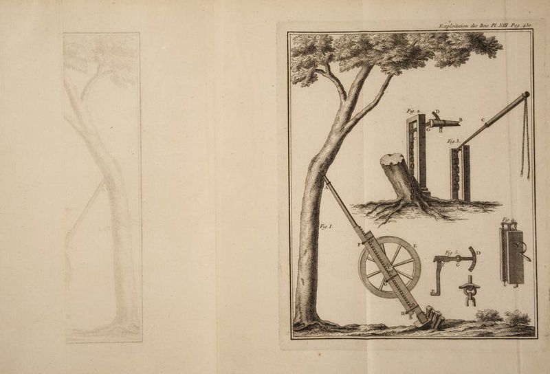 Jucc&kaitaùxrn. des Bats JP l. XIII ■ I* ag /J3a.