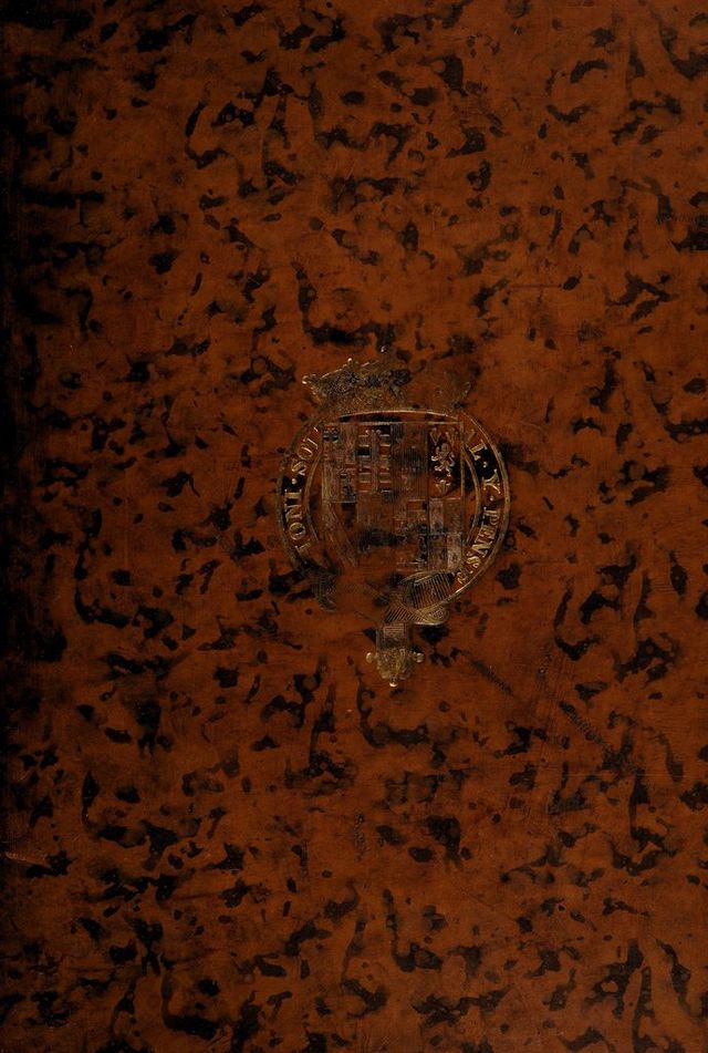 No text description is available for this image