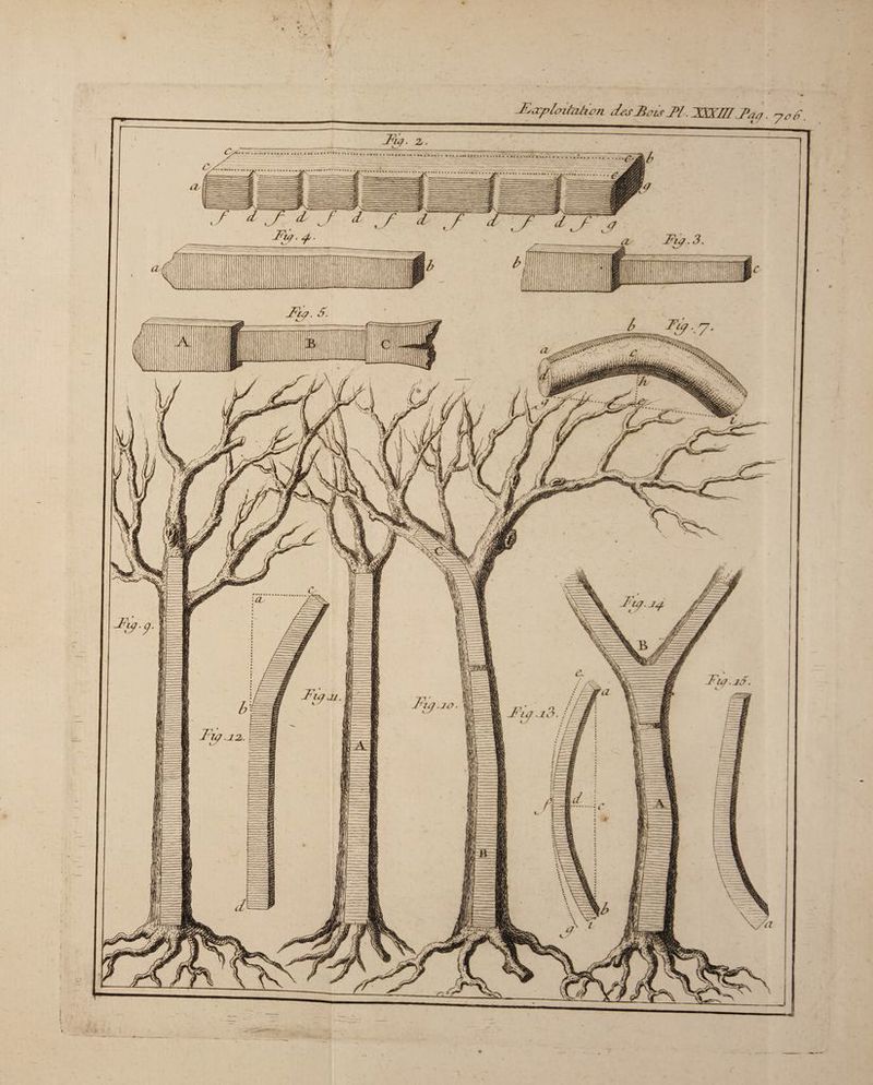 i i À * > I f j -Eæpleifaàon desÆotsJPl.^SXm.Taj. yof. IFuj. z.