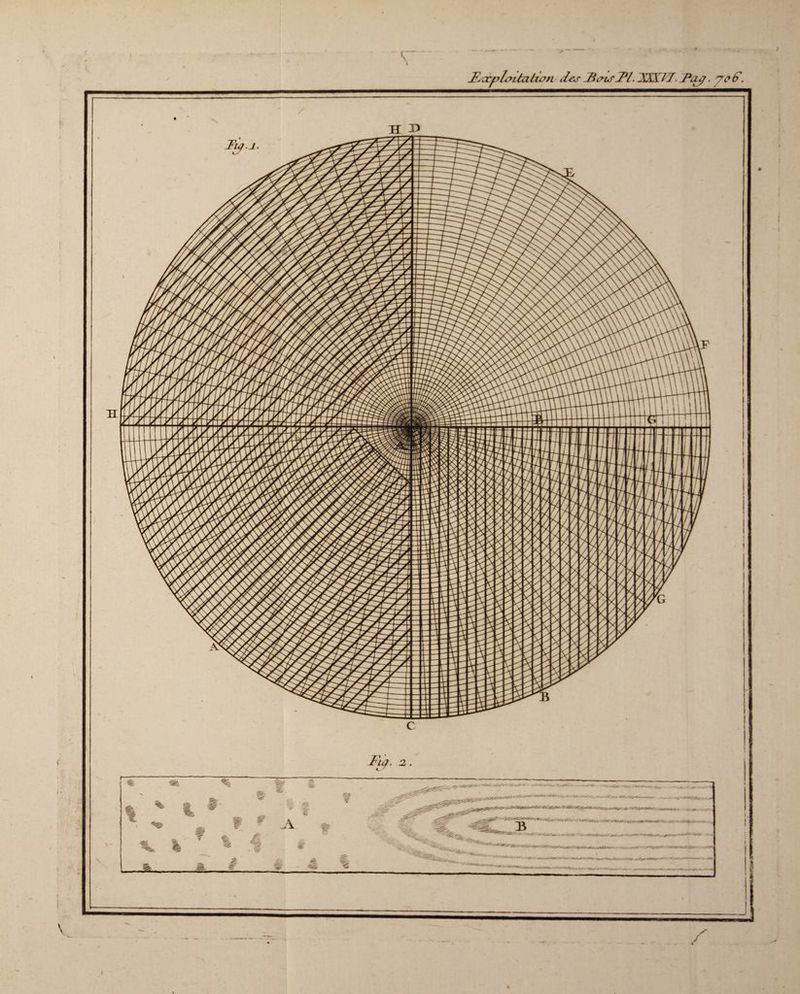 Jùccploihitwn des ms 1*1. XXX17. -Pas/. yo d. I l X> C Fuj. /