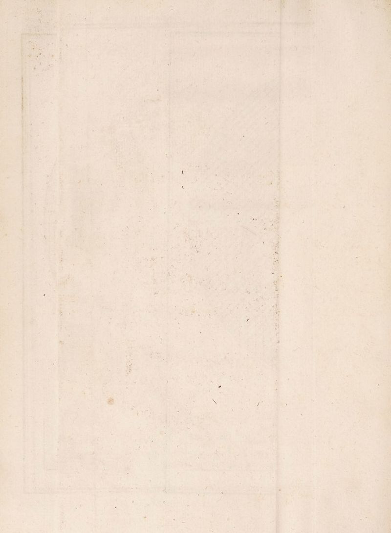 '• ’ / V v •f •r ■i ï. \ \ J