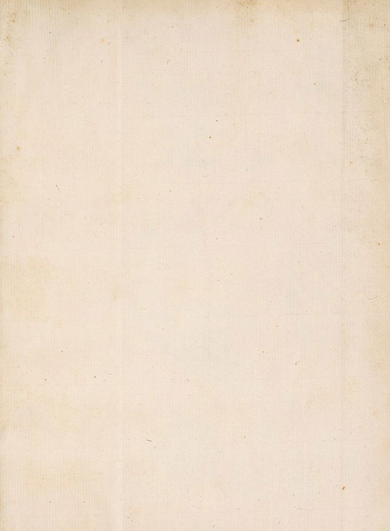 ' —V ':,V ■V •> . V T • : • \ f / ■ vr- . \ f •* v- \ ; , N . * . . r A *