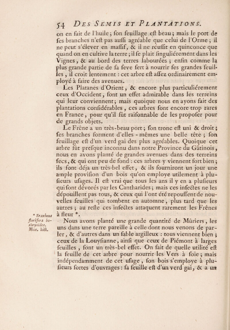 * Frax mus floriftra bo- thryoïdes. Mor. hifL y4 Des Semis et Plantations. on en fait de l’huile ; fon feuillage efl beau ; mais le port de fes branches n’eft pas auiïi agréable que celui de P Orme ; il ne peut s’élever en maflifj & il ne réuflît en quinconce que quand on en cultive la terre ; il fe plaît fïnguliérement dans les Vignes j & au bord des terres labourées ; enfin comme la plus grande partie de fa feve fert à nourrir fes grandes feuil¬ les ^ il croît lentement : cet arbre efl allez ordinairement em¬ ployé à faire des avenues. Les Platanes d’Orient, & encore plus particuliérement ceux d’Occident j font un effet admirable dans les terreins qui leur conviennent ; mais quoique nous en ayons fait des plantations confîdérables ^ ces arbres font encore trop rares en France, pour qu’il fut raifonnable de les propofer pour de grands objets. Le Frêne a un très-beau port ; fon tronc efl uni & droit ; fes branches forment d’elles - mêmes une belle tête ; fon feuillage efl d’un verd gai des plus agréables. Quoique cet arbre fût prefque inconnu dans notre Province du Gâtinois * nous en avons planté de grandes avenues dans des terreins fecs, & qui ont peu de fond : ces arbres y viennent fort bien ; ils font déjà un très-bel effet, & ils fourniront un jour une ample provifion d’un bois qu’on employé utilement à plu- fieurs ufages. Il efl vrai que tous les ans il y en a plufieurs qui font dévorés parles Cantharides; mais ces infeêtes ne les dépouillent pas tous, & ceux qui font été repouffent de nou¬ velles feuilles qui tombent en automne , plus tard que les autres ; au relie ces infeétes attaquent rarement les Frênes à fleur *. Nous avons planté une grande quantité de Mûriers, les uns dans une terre pareille à celle dont nous venons de par¬ ler , & d’autres dans un fable argilleux : tous viennent bien ; ceux de la Louyfianne, ainfi que ceux de Piémont à larges feuilles , font un très-bel effet. On fait de quelle utilité efl la feuille de cet arbre pour nourrir les Vers à foie; mais indépendamment de cet ufage , fon bois s’employe à plu¬ fieurs fortes d’ouvrages : fa feuille eft d’un verd gai ^ 6c a un