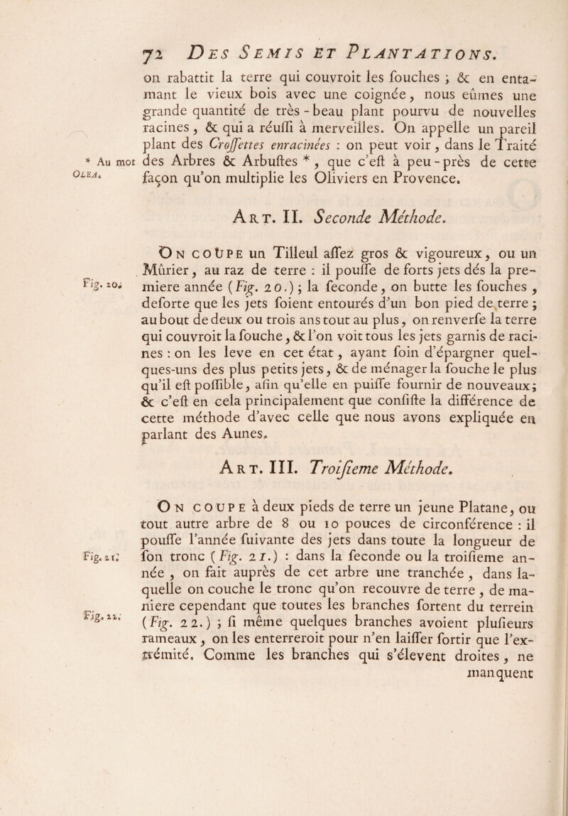 * Au mot Qlej0 Fig. 2,0a Fig. n2 Fig. %%; 72 Des Semis et Plantations. on rabattit la terre qui couvroit les fouches ; & en enta^ niant le vieux bois avec une coignée , nous eûmes une grande quantité de très - beau plant pourvu de nouvelles racines , & qui a réulïi à merveilles. O11 appelle un pareil plant des CroJJettes enracinées : on peut voir , dans le Traité des Arbres & Arbuftes *, que c’eft à peu “près de cette façon qu’on multiplie les Oliviers en Provence. Art. IL Seconde Méthode. On coüpe un Tilleul allez gros & vigoureux, ou un Mûrier, au raz de terre : il pouffe de forts jets dés la pre¬ mière année (Fig. 20.) ; la fécondé, on butte les fouches , deforte que les jets foient entourés d’un bon pied de terre ; au bout de deux ou trois ans tout au plus, on renverfe la terre qui couvroit la fouche, ôt Ion voit tous les jets garnis de racb nés : on les leve en cet état, ayant foin d’épargner quel¬ ques-uns des plus petits jets, &de ménager la fouche le plus qu’il eftpoffible, afin qu’elle en puiffe fournir de nouveaux; & c’eft en cela principalement que confifte la différence de cette méthode d’avec celle que nous avons expliquée en parlant des Aunes. Art. III. Troijîeme Méthode. G N c o u P e à deux pieds de terre un jeune Platane, ou tout autre arbre de 8 ou 10 pouces de circonférence : il pouffe l’année fuivante des jets dans toute la longueur de fon tronc {Fig. 2 7.) : dans la fécondé ou la troifieme an¬ née , on fait auprès de cet arbre une tranchée , dans la¬ quelle on couche le tronc qu’on recouvre de terre , de ma¬ niéré cependant que toutes les branches fortent du terrein {Fig. 22.) ; fi même quelques branches avoient plufieurs rameaux, on les enterreroit pour n’en laiffer fortir que l’ex¬ trémité, Comme les branches qui s’élèvent droites, ne manquent