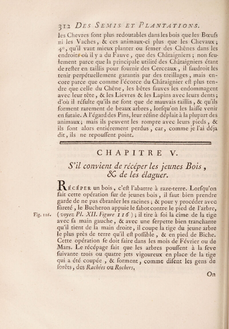 les Chevres font plus redoutables dans les bois que les Bœufs ni les Vaches, & ces animaux-ci plus que les Chevaux; 4°, qu’il vaut mieux planter ou femer des Chênes dans les endroits où il y a du Fauve , que des Châtaigniers ; non feu¬ lement parce que la principale utilité des Châtaigniers étant de relier en taillis pour fournir des Cerceaux , il faudrait les tenir perpétuellement garantis par des treillages, mais en¬ core parce que comme l’écorce du Châtaignier eft plus ten¬ dre que celle du Chêne, les bêtes fauves les endommagent avec leur tête , & les Lievres & les Lapins avec leurs dents ; d’où il réfulte qu’ils ne font que de mauvais taillis, & qu’ils forment rarement de beaux arbres, lorfqu’on les laiffe venir en futaie. A l’égard des Pins, leur réfine déplaît à la plupart des animaux; mais ils peuvent les rompre avec leurs pieds, & ils font alors entièrement perdus, car, comme je l’ai déjà dit, ils ne repouffent point, .. .. ». ■ CHAPITRE V. S 'il convient de récéper les jeunes Bois , ÔC de les élaguer. J^.écéper un bois , c’eft l’abattre à raze-terre. LoiTqu’on fait cette opération fur de jeunes bois , il faut bien prendre garde de ne pas ébranler les racines ; & pour y procéder avec fureté , le Bûcheron appuie le fabot contre le pied de l’arbre, Fig. né. ( voyez PL XII. Figure 11 6 ) ; il tire à foi la cîme de la tige avec fa main gauche, & avec une ferpette bien tranchante qu’il tient de la main droite, il coupe la tige du jeune arbre le plus près de terre qu’il eft poiïîble , & en pied de Biche. Cette opération fe doit faire dans les mois de Février ou de Mars. Le récépage fait que les arbres pouffent à la feve fuivante trois ou quatre jets vigoureux en place de la tige qui a été coupée , & forment, comme difent les gens de forêts} des Radiées ou Rochers, On