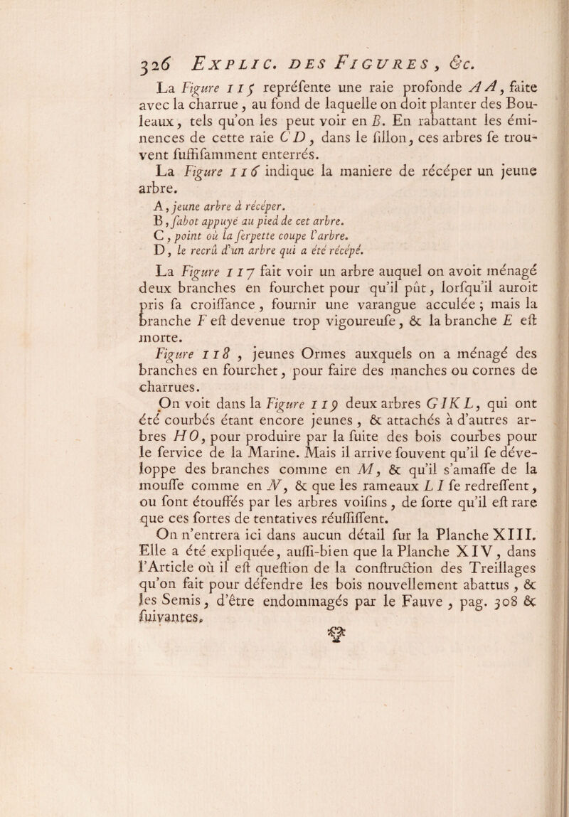 La Figure 11 $ repréfente une raie profonde A A, faite avec la charrue , au fond de laquelle on doit planter des Bou¬ leaux , tels quon les peut voir en B. En rabattant les émi¬ nences de cette raie CD , dans le fillon, ces arbres fe trou¬ vent fuffifamment enterrés. La Figure 116 indique la maniéré de récéper un jeune arbre. A, jeune arbre à récéper. B ,fabot appuyé au pied de cet arbre. C , point où La ferpette coupe Varbre. , Le recru a un arbre qui a etc recepe. La Figure 117 fait voir un arbre auquel on avoit ménagé deux branches en fourchet pour qu’il put, lorfqu’il auroit !)ris fa croiffance , fournir une varangue acculée ; mais la >ranche F eh devenue trop vigoureufe , & la branche E eft morte. Figure 118 , jeunes Ormes auxquels on a ménagé des branches en fourchet, pour faire des manches ou cornes de charrues. On voit dans la Figure 11 y deux arbres GIKL, qui ont été courbés étant encore jeunes , & attachés à d’autres ar¬ bres HO, pour produire par la fuite des bois courbes pour le fervice de la Marine. Mais il arrive fouvent qu’il fe déve¬ loppe des branches comme en M, &c qu’il s’amaffe de la mouffe comme en jVy & que les rameaux L I fe redreffent, ou font étouffés par les arbres voifins, de forte qu’il eh rare que ces fortes de tentatives réuffilfent. On n’entrera ici dans aucun détail fur la Planche XIII. Elle a été expliquée, aufïi-bien que la Planche XIV, dans l’Article où il eft queftion de la conftruâion des Treillages qu’on fait pour défendre les bois nouvellement abattus , ôt les Semis, d’être endommagés par le Fauve , pag. 308 &ç fuivantes.