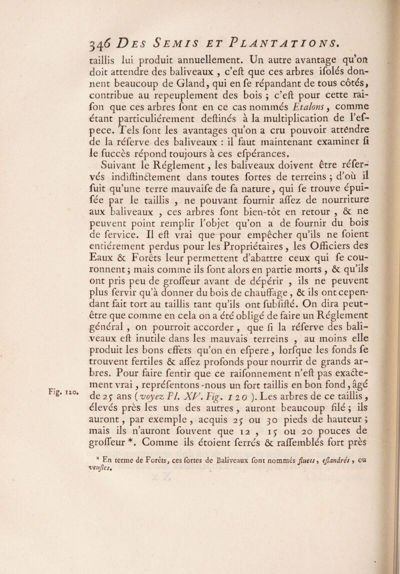 taillis lui produit annuellement. Un autre avantage qu’on doit attendre des baliveaux , c’eft que ces arbres ifolés don¬ nent beaucoup de Gland, qui enfe répandant de tous côtés, contribue au repeuplement des bois ; c’eft pour cette rai- fon que ces arbres font en ce cas nommés Etalons, comme étant particuliérement deftinés à la multiplication de l’ef- pece. Tels font les avantages quon a cru pouvoir attendre de la réferve des baliveaux : il faut maintenant examiner fi le fuccès répond toujours à ces efpérances. Suivant le Réglement, les baliveaux doivent être réfer- vés indiftinftement dans toutes fortes de terreins ; d’où il fuit qu’une terre mauvaife de fa nature, qui fe trouve épui- fée par le taillis , ne pouvant fournir alfez de nourriture aux baliveaux , ces arbres font bien-tôt en retour , & ne peuvent point remplir l’objet qu’on a de fournir du bois de fervice. Il eft vrai que pour empêcher qu’ils ne foient entièrement perdus pour les Propriétaires, les Officiers des Eaux & Forêts leur permettent d’abattre ceux qui fe cou¬ ronnent ; mais comme ils font alors en partie morts , & qu’ils ont pris peu de grolfeur avant de dépérir , ils ne peuvent plus fervir qu’à donner du bois de chauffage, & ils ont cepen¬ dant fait tort au taillis tant qu’ils ont fubfifté. On dira peut- être que comme en cela on a été obligé de faire un Réglement général , on pourroit accorder , que fi la réferve des bali¬ veaux eft inutile dans les mauvais terreins , au moins elle produit les bons effets qu’on en efpere, lorfque les fonds fe trouvent fertiles & affez profonds pour nourrir de grands ar¬ bres. Pour faire fentir que ce raifonnement n’eft pas exacte¬ ment vrai, repréfentons -nous un fort taillis en bon fond, âgé I2°* de 23 ans ( voyez Fl. XV. Fig. 120). Les arbres de ce taillis, élevés près les uns des autres , auront beaucoup filé ; ils auront, par exemple, acquis 25 ou 30 pieds de hauteur; mais ils n’auront fouvent que 12 , ij ou 20 pouces de groffeur *. Comme ils étoient ferrés & raffemblés fort près * En terme de Forêts, ces fortes de Baliveaux font nommés fluets, ejlandrés 5 ou veujles.