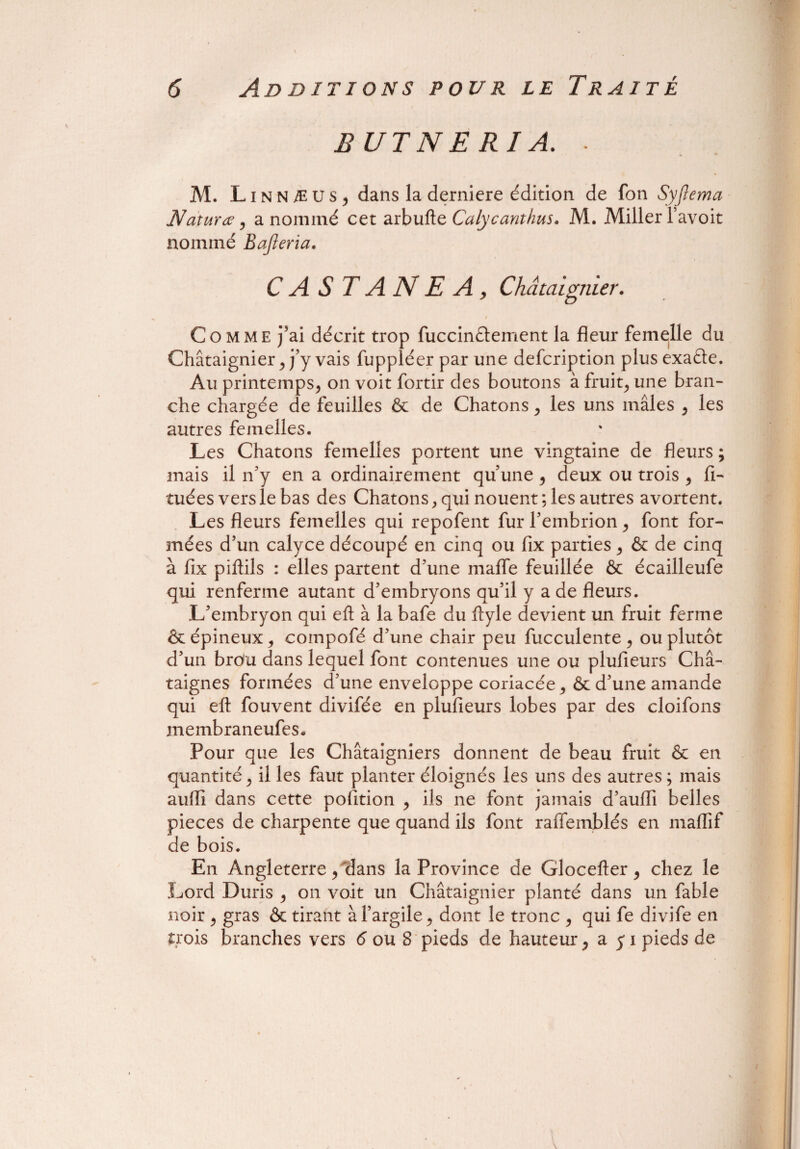 BUT N E RI A. • M. Linn Æ U s , dans la derniere édition de fon Syjlema Nature , a nommé cet arbufte Calycanthus. M. Miller l’avoit nommé Bajleria. CASTA N EA, Châtaignier. / Comme j’ai décrit trop fuccin&ement la fleur femelle du Châtaignier, j’y vais fuppléer par une defcription plus exafte. Au printemps, on voit fortir des boutons à fruits une bran¬ che chargée de feuilles & de Chatons, les uns mâles , les autres femelles. Les Chatons femelles portent une vingtaine de fleurs ; mais il n’y en a ordinairement qu’une , deux ou trois , fi- tuées versie bas des Chatons, qui nouent ; les autres avortent. Les fleurs femelles qui repofent fur l’embrion , font for¬ mées d’un calyce découpé en cinq ou fix parties , & de cinq à fix piftils : elles partent d’une mafle feuillée ôc écailleufe qui renferme autant d’embryons qu’il y a de fleurs. L’embryon qui eft à la bafe du ftyle devient un fruit ferme & épineux, compofé d’une chair peu fucculente , ou plutôt d’un brdu dans lequel font contenues une ou plufieurs Châ¬ taignes formées d’une enveloppe coriacée, & d’une amande qui eft fouvent divifée en plufieurs lobes par des cloifons membraneufes* Pour que les Châtaigniers donnent de beau fruit & en quantité, il les faut planter éloignés les uns des autres ; mais aufli dans cette pofition , ils ne font jamais d’aufli belles pièces de charpente que quand ils font raflemblés en maflif de bois. En Angleterre, dans la Province de Glocefter, chez le Lord Duris , on voit un Châtaignier planté dans un fable noir , gras & tirant à l’argile, dont le tronc , qui fe divife en trois branches vers 6 ou 8 pieds de hauteur, a y i pieds de l