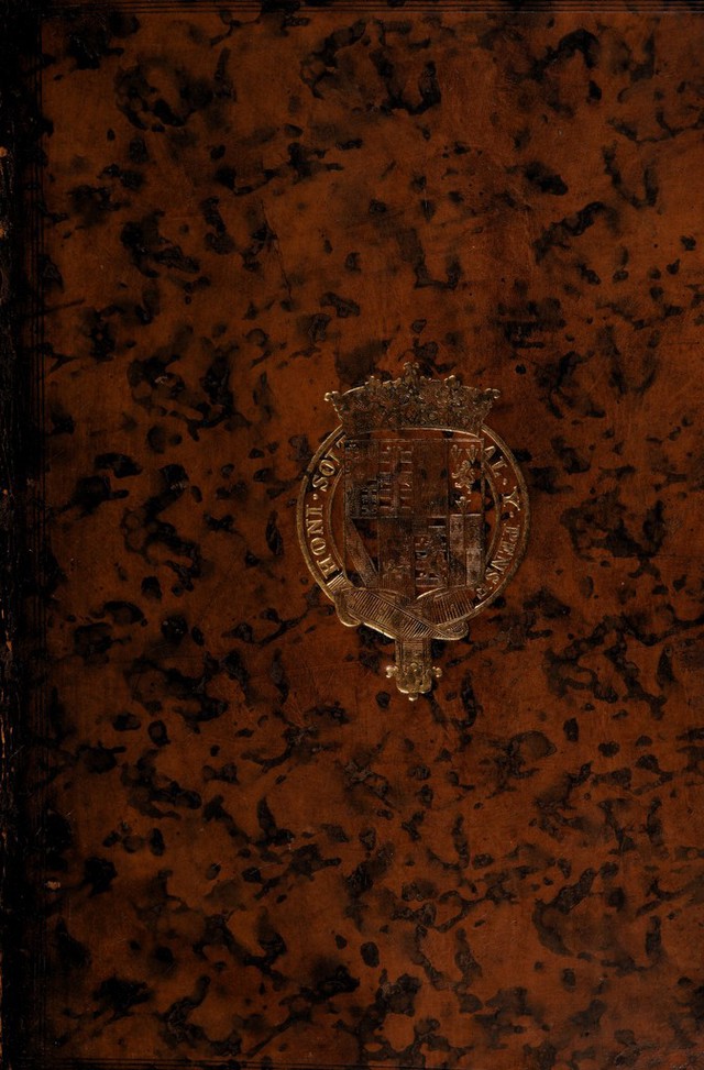 No text description is available for this image