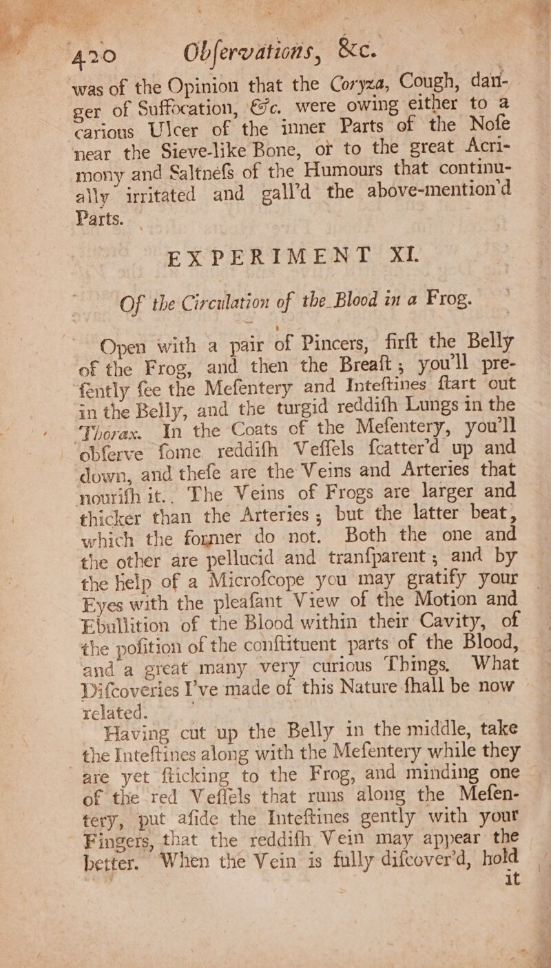 ger of Suffocation, &amp;c. were owing either to a carious Ulcer of the inner Parts of the Nofe near the Sieve-like Bone, or to the great Acri- mony and Saltnefs of the Humours that continu- ally irritated and gall’d the above-mention'd Parts. EXPERIMENT XI. Of the Circulation of tbe Blood in a Frog. Open with a pair of Pincers, firft the Belly of the Frog, and then the Breait ; youll pre- fently fee the Mefentery and Inteftines ftart out inthe Belly, and the turgid reddifh Lungs in the ‘Thorax. In the Coats of the Mefentery, you'll obferve fome reddifh Veffels fcatter'd up and down, and thefe are the Veins and Arterles that nourifh it.. The Veins of Frogs are larger and thicker than the Arteries; but the latter beat, which the former do not. Both the one and the other are pellucid and tranfparent; and by the help of a Microfcope you may gratify your Eyes with the pleafant View of the Motion and the pofition of the conftituent parts of the Blood, and a great many very curious Things, What related. Having cut up the Belly in the middle, take the Inteftines along with the Mefentery while they are yet flicking to the Frog, and minding one of the red Veflels that runs along the Mefen- tery, put afide the Inteftines gently with your Fingers, that the reddifh Vein may appear the better. When the Vein is fully difcover'd, hold it aw