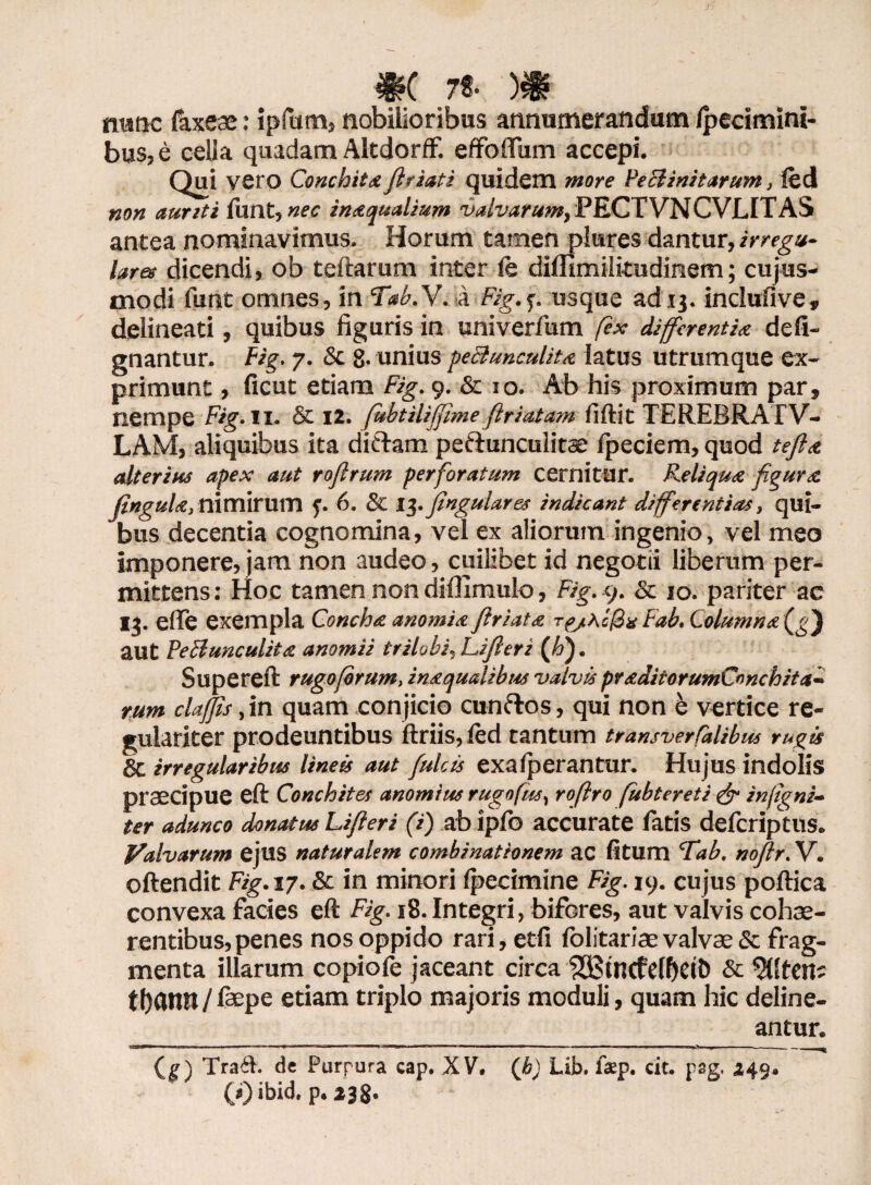 «( 78- nane faxeae: ipfum, nobilioribus annumerandum /pecimini- bus, e celia quadam AltdorfF. effoflum accepi. Qui vero Conchita flriati quidem more Peclinitarum, fed non auriti funt, nec inaequalium valvarum, PECTVNCVLITAS antea nominavimus. Horum tamen piares dantur, irregu¬ larev dicendi, ob tertarum inter le diflimilitudinem; cujus- modi funt omnes, in Tab.Y. a Fig.j. usque ad 13. inclufive, delineati, quibus figuris in univerfum fex differentia de li¬ gnantur. Fig. 7. 8c 8- unius peBunculita latus utrumque ex¬ primunt , ficut etiam Fig. 9. & 10. Ab his proximum par, nempe Fig.II. & 12. fubtiliffime firiatam fiftit TEREBRATV- LAM, aliquibus ita diftam peftunculitae Ipeciem, quod te fla alterius apex aut roflrum perforatum cernitur. Reliqua figura fingula,nimirum f. 6. & 1$. jtngularet indicant differentias, qui- bus decentia cognomina, vel ex aliorum ingenio, vel meo imponere, jam non audeo, cuilibet id negotii liberum per¬ mittens : Hoc tamen non diffimulo, Fig. 9. & 10. pariter ac 13. erte exempla Concha anomiafiriata tab. Columna (g) aut PeBunculita anomii trilobi, Lifieri (/i). Supereft rugofbrum, inaqualibus valvis praditorumConchita- rum clajfis, in quam conjicio cunftos, qui non b vertice re¬ gulariter prodeuntibus ftriis, led tantum transverfalibus rugis & irregularibus lineis aut fulcis exalperantur. Hujus indolis praecipue eft Conchitas anomius rugofus, roflro fubtereti & infigni- ter adunco donatus Lifieri (i) ab iplb accurate fatis deferiptus. Valvarum ejus naturalem combinateonem ac litum Lab. noflr. Y. oftendit Fig.17. Sc in minori Ipecimine Fig. 19. cujus poftica convexa facies eft Fig. 18. Integri, bifores, aut valvis cohae¬ rentibus, penes nos oppido rari, etfi lolitariae valvae & frag¬ menta illarum copiofe jaceant circa $Bincfelf)eiD & %tenz tbatm / faepe etiam triplo majoris moduli, quam hic deline¬ antur. g™»— —1■ ■ I I ■ ■ ' n n I I ■ ■! I ———^1 ————— » . — — (g) Trad. de Purpura cap. XV. (b) Lih. fep. cit. pag. 249» (*)ibid. p. 238.