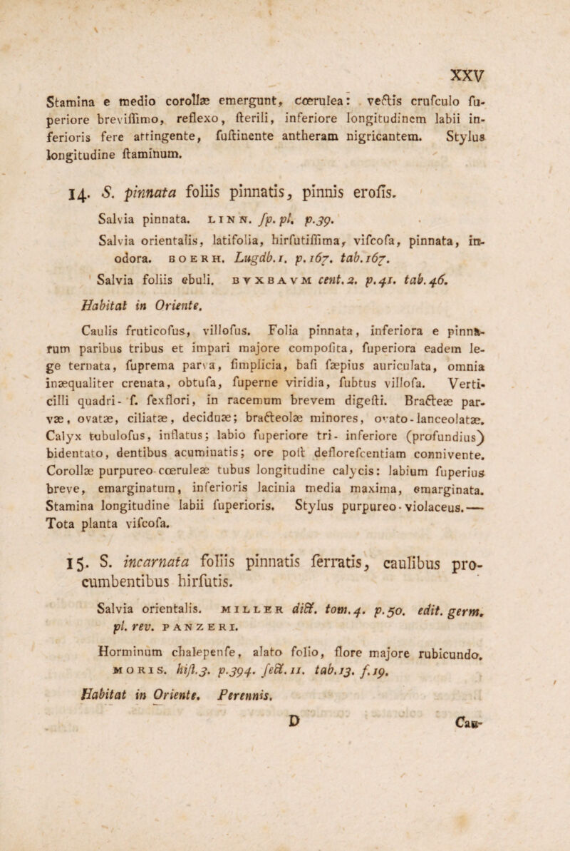 Stamina e medio coroUse emergunt, coerulea: vedis crufculo fu- periore brevilTimo, reflexo, fterili, inferiore longitudinem labii in¬ ferioris fere attingente, fuftinente antheram nigricantem. Stylus longitudine flaminum.  14. S, pinnata foliis pinnatis ^ pinnis erofis. Salvia pinnata, l i n n. fy, pt, p.jg. Salvia orientalis, latifolia, hirfutiflima, vifeofa, pinnata, in¬ odora. B o E R H. Lugdb. I. p, 167, tab. j6^, ^'Salvia foliis ebuli, b y x b a vm rrwf.:?. p.41* tab. ^6. Habitat in Oriente. Caulis fruticofus, villofus, Folia pinnata, inferiora e pinna¬ rum paribus tribus et impari majore compotita, fuperiora eadem le¬ ge ternata, fuprema parva, timplicia, bafi faepius auricnlata, omnia inaequaliter crenata, obtufa, fuperne viridia, fubtus villofa. Verti¬ cilli quadri-'f. fexflori, in racemum brevem digefli. Brafteae par- vae, ovatae, ciliatae, deciduae; brafteolae minores, ovato-lanceolatae. Calyx tubulofus, inflatus; labio fuperiore tri- inferiore (profundius) bidentato, dentibus acuminatis; ore pofl deflorefeentiam connivente. Corollae purpureo-coeruleae tubus longitudine calycis: labium fuperius breve, emarginatura, inferioris lacinia media maxima, emarginata. Stamina longitudine labii luperioris. Stylus purpureo-violaceus.— Tota planta vifeofa. 15. S. incarnata follis pinnatis ferratis^ caulibus pro¬ cumbentibus hirfutis. Salvia orientalis, miller didi, tom,^, p.50. edit, germ^ pi. rev. p A N Z E R I. Horminum cbalepenfe, alato folio, flore majore rubicunda. MORIS, p.jg^. feH.ij. tab.jj. f.j^. Habitat in Oriente, Perennis, D Cau-