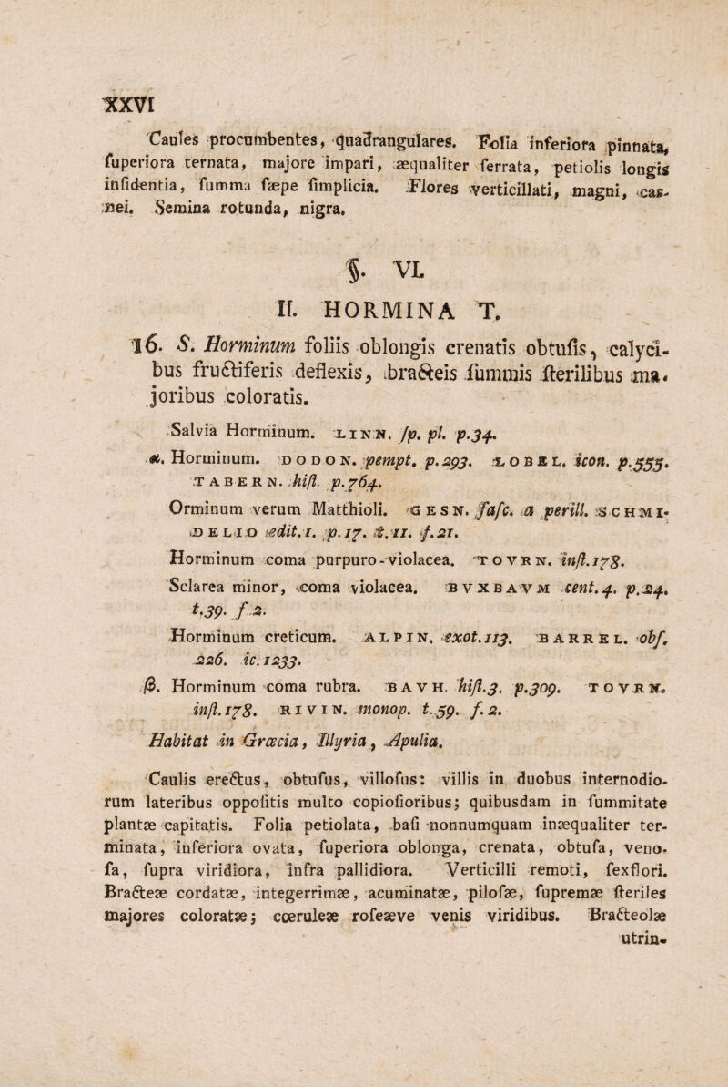 ItXVI Cautes procumbentes, qaa3rangulares. Folia inferiora pinnata, fuperiora ternata, majore'impari, requaliter'ferrata, petiolis longis infidentia, fumma fepe fimplicia. .Flores «verticillati, .magni, -eas- ;Bei. Semina rotunda, nigra, % VL ir. HORMINA T. l6. S, Horminum foliis oblongis crenatis obtufis^ calyci¬ bus fruftiferis deflexis^ ibra(Seis fummis fterilibus ima- joribus coloratis. .Salvia Horminum. xin n. /|t7./0/. Horminum. d o d o n. jpempt, p. jspj. n. o B a L. icon. JP.555. 'T A B E R N. Mfl, p. Orminum verum Matthioli. G e s N. fafc* ^perllL js c h m i- *DEL^i-o tedit.i, ;p.i^, «f.r/. Horminum tcoma purpuro - violacea. T o v r n. Sclarea niinor, coma violacea. bvxbavm cent,^. p,^^, t.39. f.x Horminum creticum. a l p i n, sxot.113. :b a r r e l. ob/, J226. u,j233. /B. Horminum coma rubra. ky vl. 'hifi.3. p.jog. TOVJiif. in/i.1^8. RiviN. monop. t.^g. f.2. Habitat dn Grcecia, Illyria,^ Apulia. \ Caulis ereftus, obtufus, villofus: villis in duobus internodio¬ rum lateribus oppolitis multo copiofioribus; quibusdam in fummitate plantae'Capitatis. Folia petiolata, .bafi nonnumquam inaequaliter ter¬ minata i ^inferiora ovata, fuperiora oblonga, crenata, obtufa, veno- - fa, fupra viridiora, infra pallidiora. Verticilli remoti, fexflori, Brafteae cordatae, integerrimae, acuniinatae, pilofae, fupremae fteriles majores coloratse \ coeruleae rofeaeve venis viridibus. Braftedlae utrin-