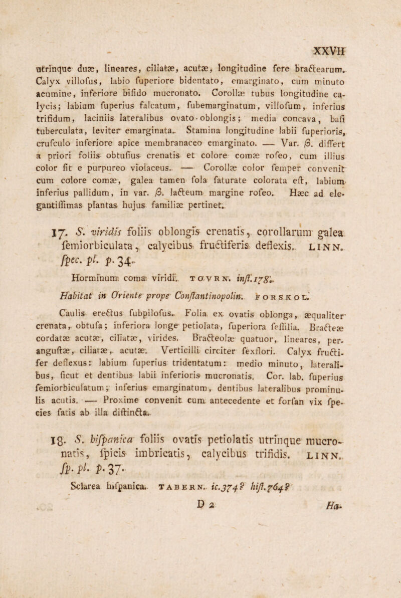 XXVH atrinque' duae, lineares, cillakae, acutae, longitudine fere braftearum.. Calyx villofus, labio fuperiore bidentato, emarginato, cum minuto acumine, inferiore bifido mucronato. Corollae tubus longitudine ca¬ lycis; labium fuperius falcatum, fubemarginatum, villofum,. inferius trifidum, laciniis lateralibus ovato-oblongis; media concava, bafi tuberculata, leviter emarginata.. Stamina longitudine labii fuperioris, crufculo inferiore apice membranaceo emarginato. — Var. /3. differt a priori foliis^ obtufius- crenatis et colore comae rofeo, cum illius color fit e purpureo violaceus.. — Corollae color femper convenit cum colore comae, galea tamen* fola faturate colorata eft, labium- inferius pallidum, in var. /3. lafteum margine rofeo.. Haec ad ele- gantiffimas plantas hujus familiae pertinet., 17- S. viridis foliis oblongis crenatis,. corollarimr galea. ' femiorbicLilata, calycibus- frucHferis deflexis., linn.. fpec, pl. p. 34., Hormuiutir; coma^. viridr.. TavRjr. Habitat in Oriente' prope' Conjlantinopolin: f o r s k o l.’ Caulis ereftus fubpilofus.. Folia ex. ovatis oblonga, aequaliter crenata,-obtufa; inferiora longe petiolata-, fuperiora feffilia. Brafteje cordatae acutae-, ciliatae, virides. Bra<fleoIae quatuor,. lineares, per- anguftae,- ciliatae,, acutae. Verticilli circiter fexflori. Calyx frufti- fer deflexus: labium fuperius tridentatum:■ medio minuto, laterali¬ bus, ficut et dentibus labii inferioris mucronatis. Cor. lab. fuperius femiorbiculatum ;• inferius emarginatum*, dentibus lateralibus prominu¬ lis acutis. — Proxime convenit cum antecedente et forfan vix fpe- cies fatis ab illa diftinfta.. 18* hifpanica- foliis ovatis petiolatis utrinque mucro¬ natis, fpicis imbricatis, calycibus trifidis, linn.. fl>- f P- 37- Sclarea hiffanicai. Tic.3^4? hijl.^6^?' Da Ha.