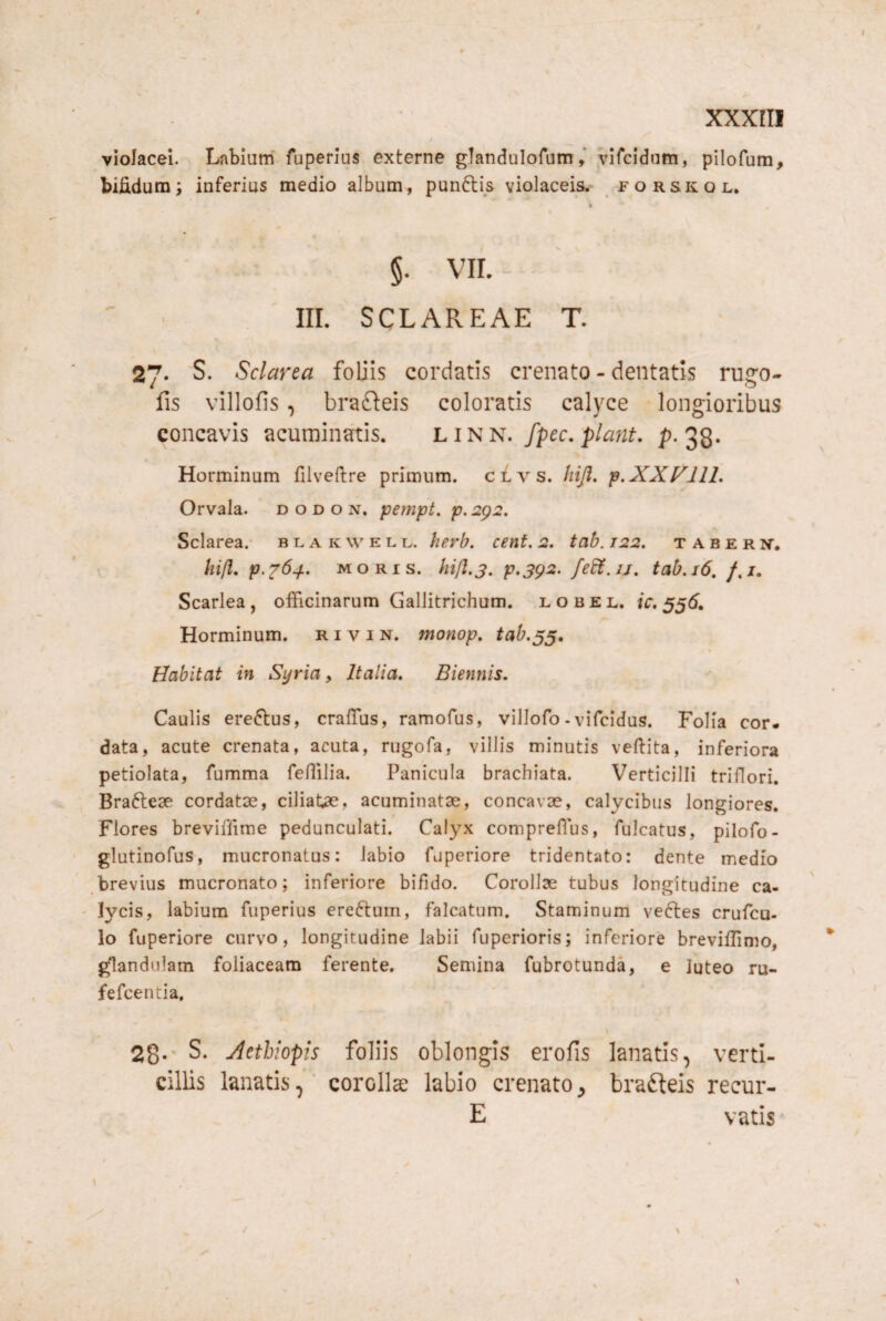 xxxrii violacei. Labium fuperlus externe glandulofumvifcidum, pilofum, bifidum; inferius medio album, punftis violaceis, forskol, §. vir. III. SCLAREAE T. 27. S. Sclarea foliis cordatis crenato - dentatis ruiro- fis villofis, brafteis coloratis calyce longioribus concavis acuminatis. LiNiSi. fpec, pla^it, p. 38- Horminum filveftre primum. c£vs. Jiiji. p.XXf^JIl. Orvala. d o d o n, pempt. p. 2p2. Sclarea.- b l a k w e l u. herb. cent, 2, tab. 122. t a b e r if. hijl, p.y6^. moris, hift.j. p.3g2. feEi.u, tab. 16, /.z. Scarlea, officinarum Gallitrichum. l o b e l. ic, 556. Horminum. r i v i n. monop, tab.53, Habitat in Syria, Italia. Biennis. Caulis ereftus, craffus, ramofus, villofo - vifcidus. Folia cor. data, acute crenata, acuta, rugofa, villis minutis veftita, inferiora petiolata, fumma feffilia. Panicula brachiata. Verticilli triflori. Brafteae cordatse, ciliatae, acuminatae, concavae, calycibus longiores. Flores breviffirae pedunculati. Calyx compreffus, fulcatus, pilofo- glutinofus, mucronatus: labio fuperiore tridentato: dente medio brevius mucronato; inferiore bifido. Corollae tubus longitudine ca¬ lycis, labium fuperius ereftum, falcatum. Staminum ve6les crufcu- lo fuperiore curvo, longitudine labii fuperioris; inferiore breviflimo, glandulam foliaceam ferente. Semina fubrotunda, e luteo ru- fefcentia, 28-' S. Xethiopis foliis oblongis erofis lanatis, verti¬ cillis lanatis,' corollae labio crenato^ brafteis recur- E vatis