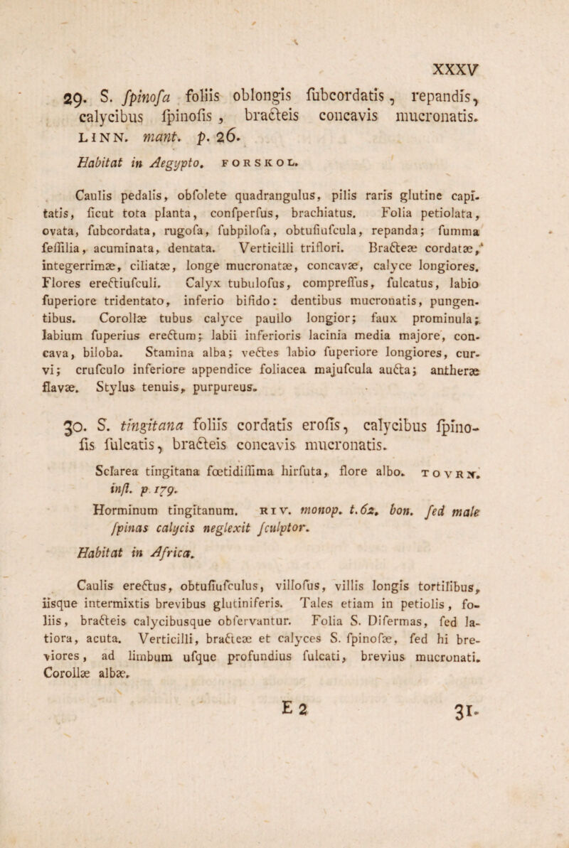 V XXXV 29. S, fpinofa ,fo\ns oblongis fubcordatis, repandis, calycibus Ipinofis ^ bracleis concavis mucronatis. LIN N. mant. p- 26^ Habitat in Aegypto, f o r s k o l* Caulis pedalis, obfolete quadrangulus, pllls raris glutine capi¬ tatis, ficut tota planta, confperfus, brachiatus. Folia petiolata, ovata, fubcordata, rugofa, fubpilofa, obtufiufcula, repanda; fumma feffilia, acuminata, dentata. Verticilli triflori. Bracteae cordatae/ integerrimae, ciliatae, longe mucronatae, concavae, calyce longiores. Flores ereftiufculi. Calyx tubulofus, comprelTus, fulcatus, labio fuperiore tridentato, inferio bifido: dentibus mucronatis, pungen¬ tibus. Corollae tubus calyce paullo longior; faux prominula;, labium fuperius ereftum;. labii inferioris lacinia media majore', con¬ cava, biloba. Stamina alba; veftes labio fuperiore longiores, cur¬ vi J crufculo inferiore appendice foliacea majufcula au6ta; antherae flavae. Stylus tenuis,, purpureus- 30. s. tmgitana foliis cordatis erofis, calycibus fpino- lis falcatis, brafteis concavis mucronatis. « Sclarea tingitana foetidifllma hirfuta,, flore albo, tovrx- inft. p. /^9. Horminum tingitanum. Riv. monop, t,62, hon, fed male /pinas calycis neglexit Jculptor, Habitat in Africa, Caulis ereftus, obtufiufculus, villofus, villis longis tortilibus, iisque intermixtis brevibus glutiniferis. Tales etiam in petiolis, fo¬ liis, bracteis calycibusque obfervantur. Folia S. Difermas, fed la¬ tiora, acuta. Verticilli, braCieae et calyces S. fpinofae, fed hi bre¬ viores, ad limbum ufque profundius fulcati, brevius mucronati- Coroilae albae. E 2 3I'