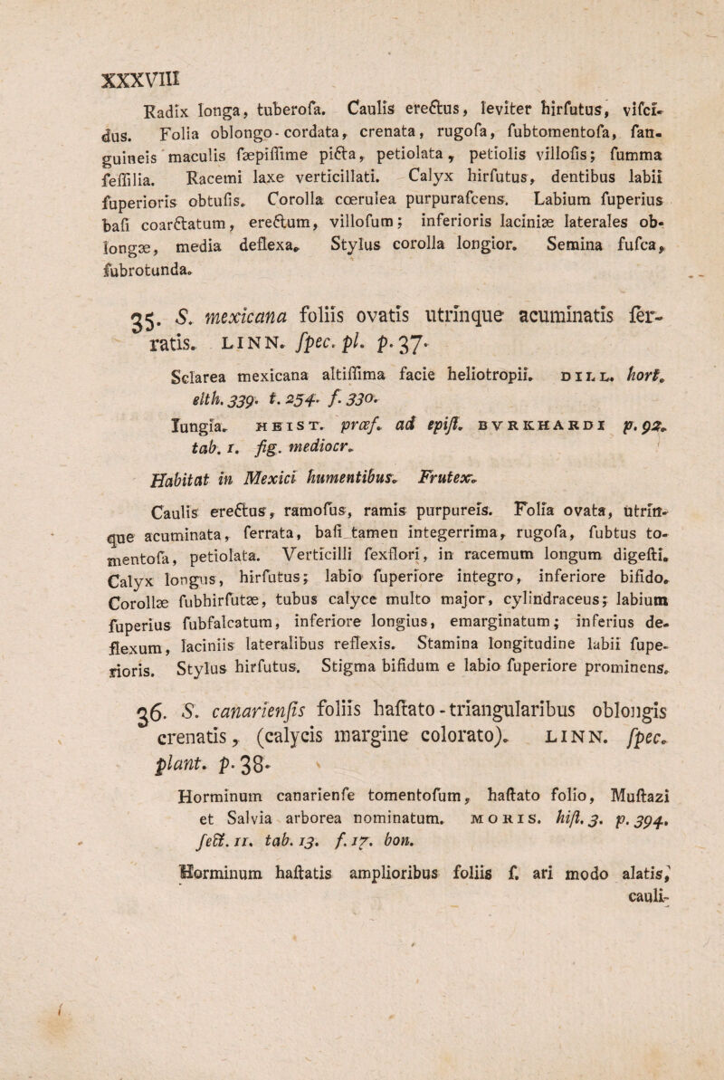 Radix longa, tuberofa. Caulis ere61:us, leviter birfutus, vifci- dus. Folia oblongo-cordata, crenata, rugofa, fubtomentofa, fan- guineis' maculis faep^iffime pi6la, petiolata , petiolis villofis; fumma feffilia. Racemi laxe verticillati. Calyx hirfutus, dentibus labii fuperioris obtufis» Corolla coerulea purpurafcens. Labium fuperius bafi coarftatum, ere6lum, villofum; inferioris lacinise laterales ob- lono-se, media de£lexa«= Stylus corolla longior. Semina fufca^ fubrotunda, 25. S. mexicana foliis ovatis utrlnque acuminatis fer¬ ratis. fpec. pL f.37- Sclarea mexicana altiffima facie heliotropii, dili^ fior0^ eltk S39’ 25^^ f. 330-^ lungia. HEisT, 'pmf. ad epijl. bvrkhardi fr.pi?,. tab, I. fig- fnediocr^ Habitat ifb ItJsxictr hitiiffiBvitibiis^o’ FvufBx^o- Caulis ereftus, ramofus, ramis purpureis. Folia ovata, titriit- que acuminata, ferrata, bali_tamen integerrima, rugofa, fubtus to- mentofa, petiolata. Verticilli fexflori, in racemum longum digefti. Calyx longus, hirfutus; labio fuperiore integro, inferiore bifido, Corollse fubhirfutse, tubus calyce multo major, cylindraceus; labium fuperius fubfalcatum, inferiore longius, emarginatum; inferius de¬ flexum, laciniis lateralibus reflexis. Stamina longitudine labii fupe¬ rioris. Stylus hirfutus. Stigma bifidum e labio fuperiore prominens, 26. S\ canarienjis foliis haflato - triangularibus oblongis crenatis, (calycis margine colorato). linn. fpec. piant, p. 38« Horminum canarienfe tomentofum, haftato folio, Muftazi et Salvia arborea nominatum. moris, hift, 3, p. 39^. Jedt. II. tab. 13. /. . bon. Horminum haftatis amplioribus foliis f. ari modo alatis^ caulL