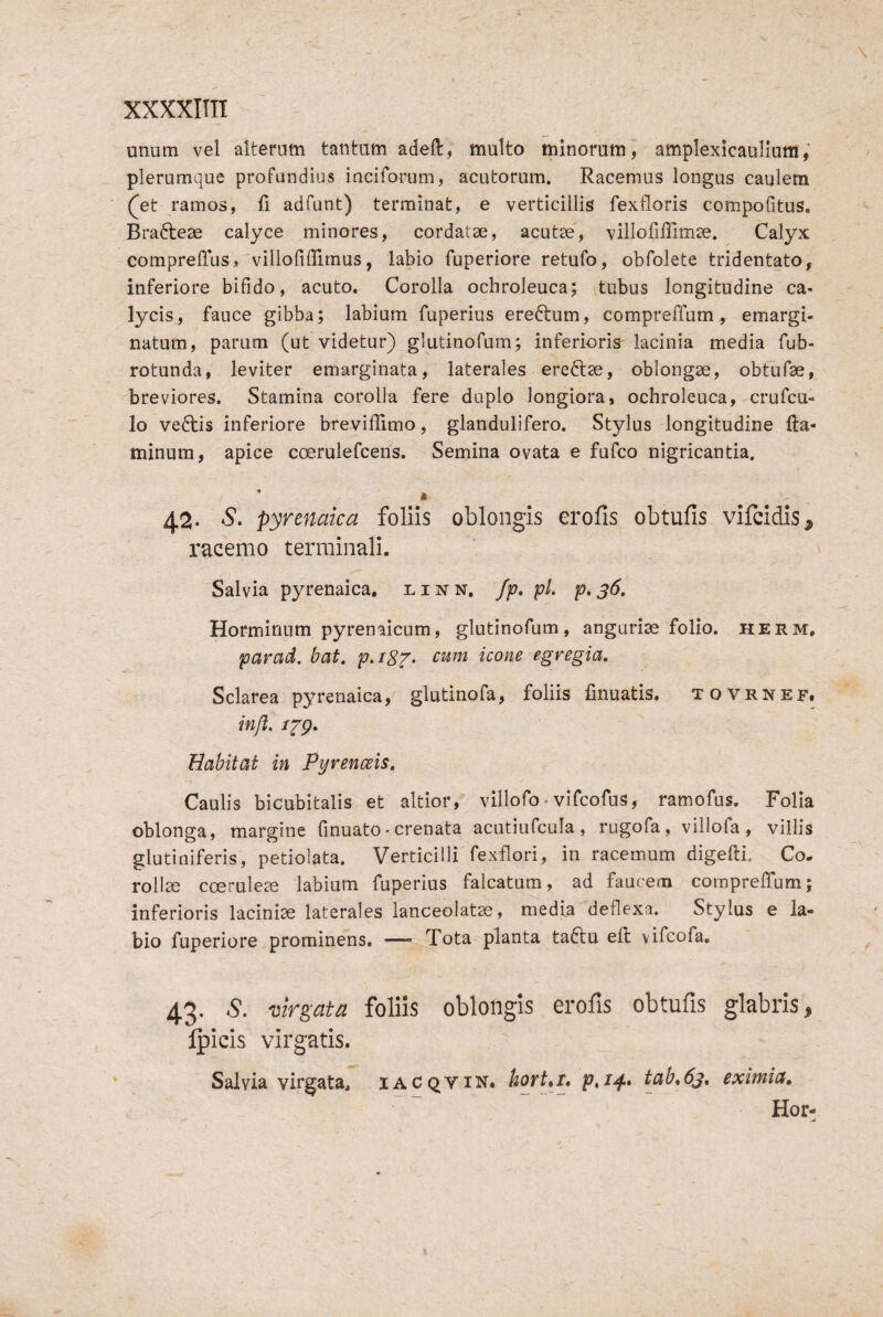 XXXXIITI unum vel alterum tantum adeft, multo minorum i amplexicaulium; plerumque profundius inciforum, acutorum. Racemus longus caulem (^et ramos, fi adfunt) terminat, e verticillis fexfloris compofitus. Braftese calyce minores, cordatae, acutae, villolilTimae. Calyx compreffus, villofilTimus, labio fuperiore retufo, obfolete tridentato, inferiore bifido, acuto. Corolla ochroleuca; \tubus longitudine ca¬ lycis, fauce gibba; labium fuperius ereftum, compreffum, emargi- natum, parum (ut videtur) glutinofum; inferioris' lacinia media fub- rotunda, leviter emarginata, laterales erectae, oblongae, obtufae, breviores. Stamina corolla fere duplo longiora, ochroleuca, crufcu- io vedtis inferiore breviffimo, glandulifero. Stylus longitudine fla¬ minum, apice coerulefcens. Semina ovata e fufco nigricantia. * * 42- S. Pyrenaica foliis oblongis erofis obtufis vifcidis^ racemo terminali. Salvia pyrenaica, linn, /p, pL p, 36, Horminum Pyrenaicum, glutinofum, angurias folio, herm, par ad, baf. p.iSZ- icone egregia, Sclarea pyrenaica, glutinofa, foliis finuatis. tovrnef. injl. Habitat in Pyrenceis, Caulis bicubitalis et altior, villofo - vifcofus, ramofus. Folia oblonga, margine fmuato• crenata acutiufcula , rugofa, viliofa , villis glutiniferis, petiolata. Verticilli fexflori, in racemum digefli. Co¬ rollae ccerule^ labium fuperius falcatum, ad faucem compreffum; inferioris lacinia laterales ianceolatae, media deflexa. Stylus e la¬ bio fuperiore prominens. — Tota planta ta6lu eft vifcofa, 43. 5. virgata foliis oblongis erofis obtufis glabris, Ipicis virgatis. Salvia virgata, iacqvin. p,i^* tab^Sj, eximia» Hor-