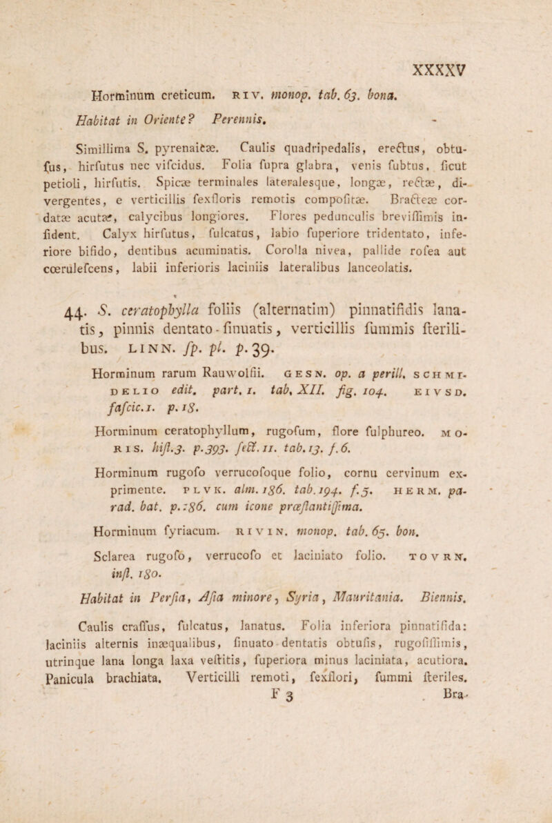 , Hormlnum creticum, riv. monop, tah,6j. bona. Habitat in Oriente? Perennis, % Simillima S. pyrenaicse. Caulis quadripedalis, ereftus, obtu- fus,- hirfutus nec vifcidus. Folia fiipra glabra, venis fubtus,. ficut petioli, hirfiitis. Spicae terminales lateralesque, longae, re6t3e, di¬ vergentes, e verticillis fexdoris remotis compotitae. Bra6leae cor¬ datae acuta?, calycibus longiores. Flores pedunculis breviflimis in- fident. Calyx hirfutus, fulcatus, labio fuperiore tridentato, infe¬ riore bifido, dentibus acuminatis. Corolla nivea, pallide rofea aut ccerulefcens, labii inferioris laciniis lateralibus lanceolatis. r 44. 6*. ceratophylla foliis (alternatim) pinnatifidis lana- . tis, pinnis dentato - finuatis, verticillis fuinmis fterili- bus. ^ LiNN. fp. pL p. 39. Horminurn rarum Rauwolfii. g e s n, op. a perill, scHivir- DELIO edit, part, i, tab, XII, fig. 10^, e i v s d. fafcic.j. p,i8> Horminurn ceratophyllum, rugofum, flore fulphureo. mo¬ ris. hiJI.j. P-3PS. fe£i.ji. tab,!^. f.6. Horminurn rugofo verrucofoque folio, cornu cervinum ex¬ primente. PLVK. alm,ig6. tab.ig^. f.y, herm, pa- rad. bat. p.:8^. cum icone prcejiantijftma, Horminurn fyriacum. r i v i n. monop. tab. 63. bon. Sclarea rugofo, verrucofo et laciniato folio. t o v R it, in/l. igo. Habitat in Perfla^ Xfia minore^ Sijria ^ Mauritania, Biennis, Caulis craflus, fulcatus, lanatus. Folia inferiora pinnati fida: laciniis alternis inaequalibus, finuato-dentatis obtufis, rugofifiimis, utrinque lana longa laxa vellitis, fuperiora minus laciniata, acutiora. Panicula brachiata. Verticilli remoti, fexllori, fummi Heriles. “ ' F 3 . Bra^