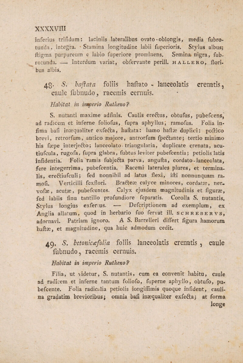 \ XXXXVIII inferius trifidum: laciniis lateralibus ovato-oblongis, media fubro* tunda, integra. 'Stamina longitudine labii fuperioris. Stylus albus; ftigma purpureum e labio fuperiore prominens. Semina, nigra, fub- rolunda. — Interdum variat, obfervante periJI. hallero, flori¬ bus albis. 4.3. haflata follis haftato « lanceolatis crenatis^ caule fubnudo^ racemis cernuis. Habitat in intperio Rutkeno? S. nutanti maxime adflnis. Caulis ereclus, obtufus, pubefcens, ad radicem et inferne foliofus, fupra aphyllus; ramofus. Folia in¬ fima bafi inaequaliter exfefta, baftata: hamo haftse duplici: poilico brevi, retrorfum, antico majore, antrorfum fpeftante; tertio minimo his fsepe interjefto; lanceolato* triangularia, duplicate crenata, acu- tiufcula, rugofa, fupra glabra, fubtus leviter pubefcentia; petiolis latis infidentia. Folia tamis fubjedta parva, angufta, cordato-lanceolata, fere integerrima, pubefcentia. Racemi laterales plures, et termina¬ lis, ereftiufculi; fed nojinihil ad latus flexi, ifti nonnunquam ra- mofl. Verticilli fexflori. Brafteae calyce minores, cordatce, ner¬ vo fae, acutae, pubefcentes. Calyx ejusdem magnitudinis et figurae, fed ■ labiis fmu tantillo profundiore feparatis. Corolla S. nutantis. Stylus longius exferius. ■— Defcriptionem ad exemplum, ex Anglia allatum, quod in herbario fuo fervat ill. schrejbervs, adornavi. Patriam ignoro. A S. Barrelieri differt figura hamorum haftae, et magnitudine, qua huic admodum cedit. 4.9. S, letoniccefolia foliis lanceolatis crenatis , caule fubnudo, racemis cernuis. Habitat in imperio Rutheno? Filia, ut videtur, S. nutantis, cum ea convenit habitu, caule ad radicem et inferne tantum foliofo, fuperne aphylio, obtufo, pu- hefcente. Folia radicalia petiolis longilTimis quoque infident, cauli- na gradatim brevioribus; omnia bafi inaequaliter exfeda; at forma longe