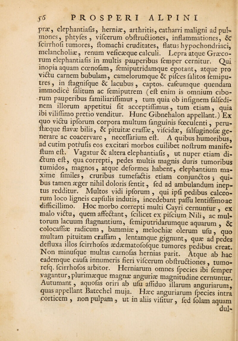 pr^5 dephantiafis, hernias, arthritis, catharri maligni ad pul** mones, phtyfes , vifcerum obfl:ru6liones, inflammationes, & fcirrhofi tumores, flomachi cruditates, flatus hypochondriaci, melancholiae , renum velic^que calculi. Lepra atque Grteco- rum elephantiafis in multis pauperibus femper cernitur. Qui inopia aquam coenofam, femiputridamque epotant, atque pro vi6lu carnem bubulam, camelorumque & pifces falitos femipu- pTs, in fliagnirque & lacubus , captos, cafeumque quendam immodice falitum ac femiputrem (eft enim is omnium cibo¬ rum pauperibus familiariflimus , tum quia ob infigncm falfedi- ucm illorum appetitui flt acceptiflimus, tum etiam, quia ibi viliflimo pretio venditur. Hunc Gibnehalon appellant.) Ex quo victu ipforura corpora multum fanguinis foeculenti, peru- fla^que flav^ bilis, &c pituitae craflas, vifcidas, falfuginofe ge¬ nerare ac coacervare , neceflarium eft. A quibus humoribus, ad cutim potrufis eos excitari morbos cuilibet noflrum manife- flum efl. Vagatur 6c altera elephantiafis, ut nuper etiam di- .£tum efl, qua correpti, pedes multis magnis duris tumoribus tumidos, magnos, atque deformes habent, elephantium ma¬ xime limiles, cruribus tumefaais etiam conjun6tos 5 qui¬ bus tamen teger nihil doloris fentit, fed ad ambulandum inep¬ tus redditur. Multos vidi ipforum , qui ipfi pedibus calceo¬ rum loco ligneis capfulis indutis, incedebant pafiii lentiffimoac difficillimo. Hoc morbo correpti multi Cayri cernuntur , ex malo vidu, quem afFedant, fcilicet ex pifcium Nili, ac mul¬ torum lacuum flagnantium, femiputridarumque aquarum , & colocaffiae radicum , bammise, melochi^ olerum ufu, quo multam pituitam cjrafiam , lentamque gignunt , quas ad pedes defluxa illos rcirrhofos ^d^matofofque tumores pedibus creat. Non minufque multas carnofas hernias parit. Atque ab hac eademque caufa innumeris fieri vifcerum obArudiones , tumo- relq. Iciirholos aibitor. Herniarum omnes fpecies ibi fbmper vagantui, plurimasque magn^ angurice magnitudine cernuntur. Autumant, aquofas oriri ab ufu affiduo illarum anguriarum, quas appellant Batechel muja. H^ec anguriarum fpecies intra corticem, non pulpam, ut in aliis vifitur, fed folam aquam