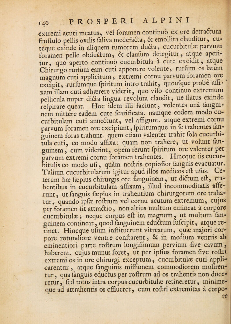 extremi acuti meatus, vel foramen continuo ex ore detraftum fruftulo pellis ovilis faliva medefada, emollita clauditur, cu¬ teque exinde in aliquem tumorem du£la, cucurbitula: parvum foramen pelle obduftiim, 6c claufum detegitur, atque aperi¬ tur , quo aperto continuo cucurbitula a cute excidit, atque Chirurgo rurfum eam cuti apponere volente, rurfum os latum magnum cuti applicitum, extremi cornu parvum foramen ore excipit, rurfumque fpiritum intro trahit, quoufque probe affi¬ xam illam cuti adhaerere viderit, quo vifo continuo extrernum pellicula nuper didta lingua revoluta claudit, ne flatus exinde refpirare queat. Hoc idem illi faciunt, volentes una fangui- nem mittere eadem cute fcarificata. namque eodem modo cu¬ curbitulam cuti annedtunt, vel affigunt, atque extremi cornu parvum foramen ore excipiunt, fpiritumque in fe trahentes fan- guinem foras trahunt, quem etiam valenter trahit fola cucurbi¬ tula cuti, eo modo affixa: quam non trahere, ut volunt fan- guinem, cum viderint, opem ferunt fpiritum ore valenter per parvum extremi cornu foramen trahentes. Hincque iis cucur¬ bitulis eo modo ufi, quam noftris copiofior fanguis evacuatur. Talium cucurbitularum igitur apud illos medicos eft ufus. Ce¬ terum hae faepius chirurgis ore fanguinem , ut didtum eft, tra¬ hentibus in cucurbitulam affixam, illud incommoditatis affe¬ runt, ut fanguis ftepius in trahentium chirurgorum ore traha¬ tur, quando ipfe roftrum vel cornu acutum extremum, cujus per foramen fit attraftio, non altius multum emineat a corpore cucurbitulx 5 neque corpus eft ita magnum, ut multum fan¬ guinem contineat, quod fanguinem edu&um fufcipit, atque re¬ tinet. Hincque ufum inftituerunt vitrearum, quse majori cor¬ pore rotundiore ventre conflarent, & in medium ventris ab eminentiori parte roftrum longiffimum pervium five cavum, haberent, cujus munus foret, ut per ipfius foramen five roftri extremi os in ore chirurgi exceptum, cucurbitulae cuti appli¬ carentur , atque fanguinis miffionem commodiorem moliren¬ tur , qua fanguis ecjuftus per roftrum ad os trahentis non duce¬ retur, fed totus intra corpus cucurbitulae retineretur, minime- que ad attrahentis os efflueret, cum roftri extremitas a corpo¬ re