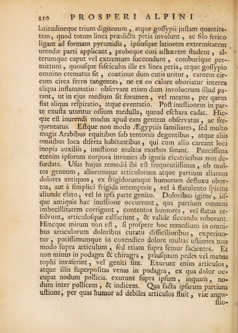 latitudineque trium digitorum atque goflypii juftam quantita¬ tem, quod totum linea prsedifta petia involunt , ac filo ferico ligant ad formam pyramidis , ipfiufque latiorem extremitatem urendse parti applicant, probeque cuti adhaerere fiudent, al- * - terumque caput vel extremum fuccendunt, comburique per--' mittunt, quoufque fafciculus ille ex linea petia, atque gofiypio omnino crematus fit, continue dum cutis uritur , carnem cir¬ cum circa ferro tangentes, ne ex eo calore oboriatur interea aliqua inflammatio: obfervant etiam dum involucrum illud pa¬ rant, ut in ejus medium fit foramen , vel meatus, per quem fiat aliqua refpiratio, atque eventatio. Poftinuflionem in par¬ te exufta utuntur ofiium medulla, quoad efchara cadat. Hic- que efl: inurendi modus apud eam gentem obfervatus, ac fre¬ quentatus. Eftque non modo AEgyptiis familiares, fed multo magis Arabibus equitibus fub tentoriis degentibus, atque aliis omnibus loca diferta habitantibus, qui cum aliis careant loci inopia auxiliis, inuflione multos morbos fanant. Pauciffima etenim ipforum corpora invenies ab igneis cicatricibus non de- foedata. Ufus hujus remedii ibi efl frequentilfimus, ob mul¬ tos genuum , aliorumque articulorum atque partium aliarum dolores antiquos, ex frigidorumque humorum defluxu obor¬ tos, aut a fimplici frigida intemperie, vel a flatulento fpiritu aliunde elato, vel in ipfa parte genito. Doloribus igitur, iif- que antiquis hac inuflione occurrunt, qua partium omnem imbecillitatem corrigunt, contentos humores, vel flatus re- folvunt, articulorque calfaciunt, 6c valide ficcando roborant.' Hineque mirum non efl , fi profpere hoc remedium in omni¬ bus articulorum doloribus curatu difficilioribus, experiim- tur, potiflimumque in coxendico dolore multas uftiones non modo fupra articulum , fed etiam fupra femur facientes. Et non minus in podagra 6c chiragra , priufquam pedes vel manus tophi inyaferint, vel geniti fint. Exurunt enim articulos, atque illis fuperpofitas venas in podagra, ex qua dolor oc¬ cupat nodum pollicis, exurunt fupra ipfura, inquam, no¬ dum inter pollicem , & indicem. Qua fadta ipfarum partium uftione, per quas humor ad debiles articulos fluit ^ vi^ angu- ftio-