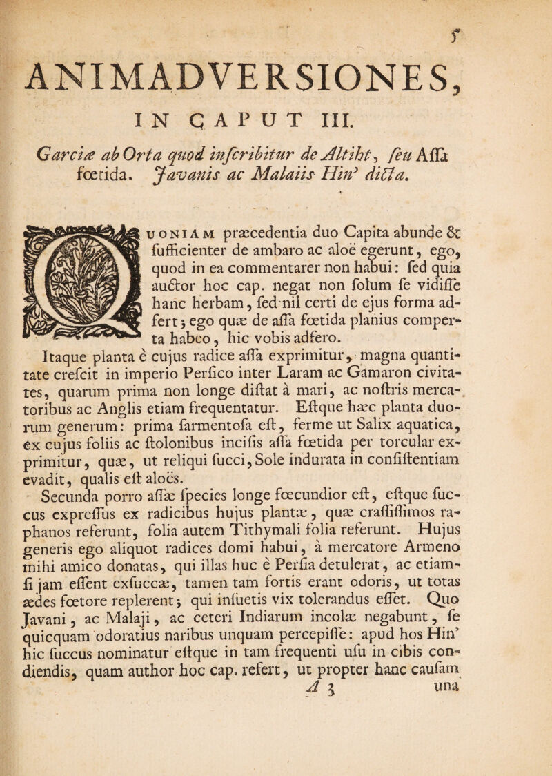 ANIMADVERSIONES, IN q A P u T ni. Garci£ ab Orta quod infcribitur de Altiht^ feuk{![k foetida. Javanis ac Malaiis Hin^ di£ta. . *k u o NIA M praecedentia duo Capita abunde & fufficienter de ambaro ac aloe egerunt, ego, quod in ea commentarer non habui: fed quia auftor hoc cap. negat non folum fe vidilTe hanc herbam, fed nii certi de ejus forma ad- fert 5 ego quae de afla foetida planius comper¬ ta habeo, hic vobis adfero. Itaque planta e cujus radice afla exprimitur, magna quanti¬ tate crefcit in imperio Perfico inter Laram ac Gamaron civita¬ tes, quarum prima non longe diftat a mari, ac noftris merca¬ toribus ac Anglis etiam frequentatur. Eftque h^c planta duo¬ rum generum: prima farmentofa eft, ferme ut Salix aquatica, ex cujus foliis ac ftolonibus incifls afla foetida per torcular ex¬ primitur, quae, ut reliqui fucci,Sole indurata in confiftentiam evadit, qualis efl; aloes. ■ Secunda porro aflk fpecies longe foecundior efl:, eflque fuc- cus cxprefliis ex radicibus hujus plantae, qu^ crafliilimos ra¬ phanos referunt, folia autem Tithymali folia referunt. Hujus generis ego aliquot radices domi habui, a mercatore Armeno mihi amico donatas, qui illas huc e Perfla detulerat, ac etiam- jfljam eflent exfuccae, tamen tam fortis erant odoris, ut totas aedes foetore replerent 5 qui inluetis vix tolerandus eflet. Qiio Javani, ac Malaji, ac ceteri Indiarum incolx negabunt, fe quicquam odoratius naribus unquam percepifle: apud hos Hin’ hic fuccus nominatur eflque in tam frequenti ufti in cibis con¬ diendis, quam author hoc cap. refert, ut propter hanc caufam J l una