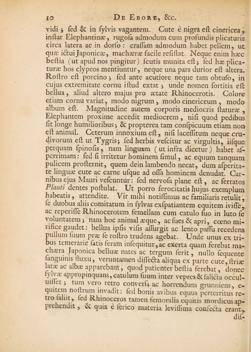 vidi 5 fed & in fylvis vagantem. Cute e nigra eft cinericea^ indar Elephantinae, rugofa admodum cum profundis plicaturis circa latera ac in dorfo : crafTam admodum habet pellem, ut qute iftui Japonicae, machasrse facile refiftat^ Neque enim hsec beftia (ut apud nos pingitur) fcutis munita eftj fed has plica¬ tura hos clypeos mentiuntur, neque una pars durior eft altera. Roftro eft porcino > fed ante acutiore neque tam obtufo, in cujus extremitate cornu idud extat 3 unde nomen foititia efl bellua, aliud altero majus pro aetate Rhinocerotis. Colore etiam cornu variat, modo nigrum , modo cinericeum , modo album eft. Magnitudine autem corporis mediocris ftaturte , Elephantem proxime accedit mediocrem, nifi quod pedibus fit longe humilioribus 3 & propterea tam confpicuum etiam non eft animal. Ceterum innoxium eft, nifi laceflitum neque cru- divorum eft ut Tygris3 fed herbis vefcitur ac virgultis, iifque perquam fpinofis, nam linguam (ut infra dicetur) habet af- perrimam: fed fi irritetur hominem fimul, ac equum tanquam pulicem profternit, quem dein lambendo necat, dum afperita- te lingua cute ac carne ufque ad ofia hominem denudat. Car¬ nibus ejus Mauri vefcuntur: fed nervofa plane eft , ac ferratos dentes poftulat. Ut porro ferocitatis hujus exemplum habeatis 5 attendite. Vir mihi notiftimus ac familiaris retulit, fe duobus aliis comitatum in fylvas exfpatiantem equitem ivifie, ac reperifle Rhinocerotem femellam cum catulo fuo in luto fe voluntatem 3 nam hoc animal seque, acfues&apri, coeno mi- lificegaudet: bellua ipfis vifis afiurgit ac lento pafTu recedens pullum fuum pr^ fe roftro trudens agebat. Unde unus ex tri¬ bus temerarie fatis feram infequitur,ac exerta quam ferebat ma- chiera Japonica bellum nates ac tergum ferit, nullo fequente languinis fluxu, veruntamen diftedta aliqua ex parte cute,!!;!!^ latx ac alb:e apparebant, quod patienter beftia ferebat, donec lylvte appropinquans, catulum fuum inter vepres & falida occul- uifjet 3 tum vero retro cqnverfa ac horrendum grunniens, e- quitem noftium invadit: fed bonis avibus equus perterritus re- tio lahit, fed Rhinoceros tamen femoralia equitis mordicus ap- pienendit, cc quia e ferico materia leviflima confedca erant,. dif-