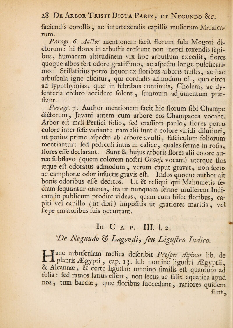faciendis corollis, ac intertexendis capillis mulierum Malaica- rum. Paragr. 6. AuUor mentionem facit florum fula Mogori di- ftorum; hi flores in arbullis crefcunt non inepti texendis fepi- bus, humanam altitudinem vix hoc arbuftum excedit, flores quoque albos fert odore gratiflimo, ac afpe61:u longe pulcherri¬ mo. Stillatitius porro liquor ex floribus arboris triftis, ac hac arbufcula igne elicitur, qui cordialis admodum eft, quocirca ad lypothymias, quse in febribus continuis, Cholera, ac dy- fenteria crebro accidere folent , fummum adjumentum prte- flant. Paragr. 7. Author mentionem facit hic florum fibi Champe didtorum, Javani autem cum arbore eos Champacca vocant. Arbor eft mali Perfici folio, fed crafliori paulo 3 flores porro colore inter fefe variant: nam alii funt e colore viridi dilutiori^ ut potius primo afpedtu ab arbore avulfi, fafciciilum foliorum mentiantur: fed pediculi intus in calice, quales ferine in rofis;, flores efle declarant. Sunt hujus arboris flores alii colore au¬ reo fubflavo (quem colorem noflri Oranje vocant) uterque flos aeque efl: odoratus admodum ,. verum caput gravat, non fecus ac camphorae odor infuetis gravis eft. Indos quoque author ait bonis odoribus efle deditos. Ut ^ reliqui qui Mahumetis fe- 6tam fequuntur omnes, ita ut nunquam ferme mulierem Indi¬ cam in publicum prodire videas, quam cum hifce floribus, ca¬ piti vel capillo (ut dixi) impofitis ut gratiores maritis, vel faepe amatoribus fuis occurrant. In C A p. IIL I. 2. 2)^ Negundo & Lagondi^ feu Ligujlro Indico. Hanc arbufculam melius defcribit Profper Jlpinus lib. de ^ plantis i^lgypti, cap. ij. fub nomine liguflii ^gyptii, Alcann^, & certe liguftro omnino fimilis efl quantum ad folia: fed ramos latius effert, non fecus ac falix aquatica apud nos 5 tum bacc^ , qua^ floribus fuccedunt, rariores quidem funt,,
