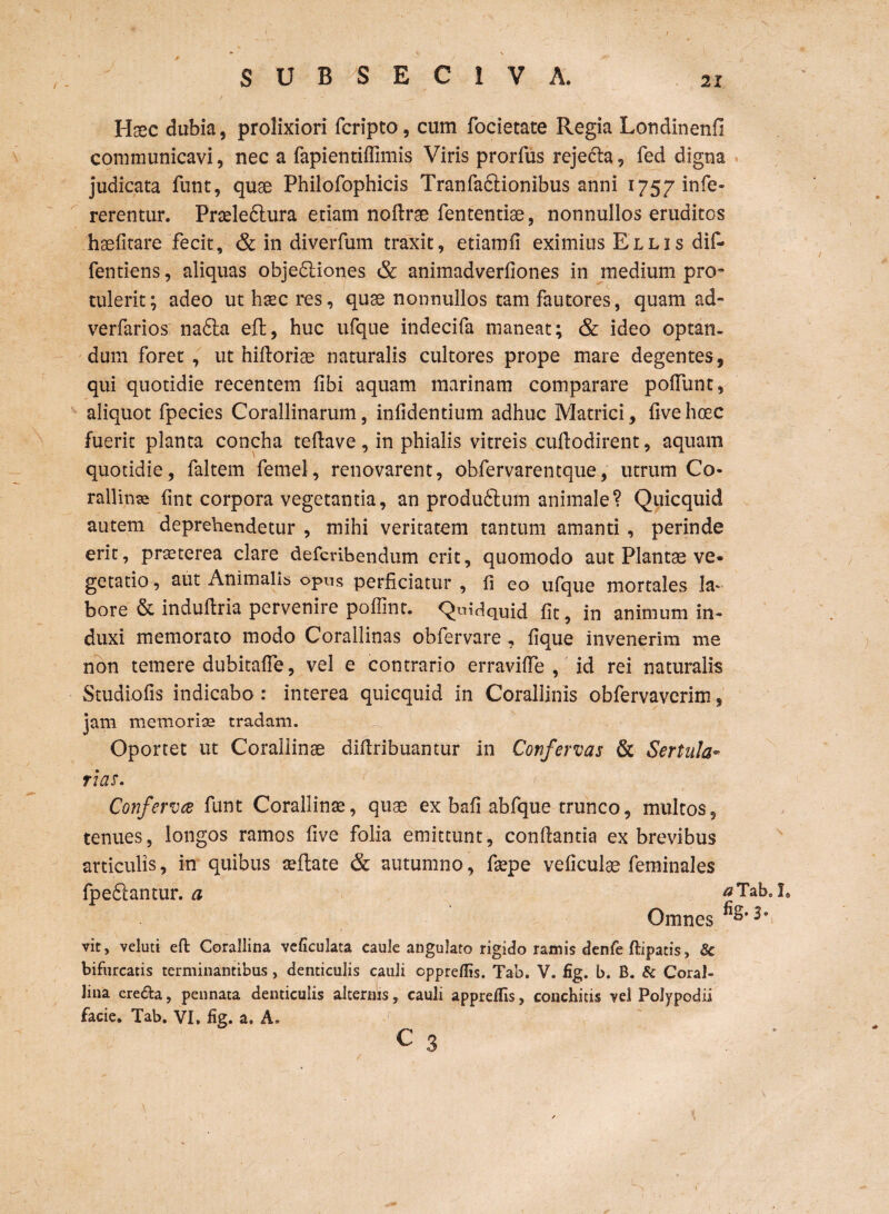 Haec dubia, prolixiori fcripto, cum focietate Regia Londinenfl communicavi, nec a fapientiffimis Viris prorfus rejedta, fed digna judicata funt, quae Philofophicis Tranfa&ionibus anni 1757 in Te¬ rerentur. Praeledtura etiam noftrse fententiae, nonnullos eruditos haefitare fecit, & in diverfum traxit, etiamii eximius Ellis dif- fentiens, aliquas objedtiones & animadverfiones in medium pro¬ tulerit ; adeo ut haec res, quae nonnullos tam fautores, quam ad- verfarios na6la eft, huc ufque indecifa maneat; & ideo optan¬ dum foret , ut hiftoriae naturalis cultores prope mare degentes, qui quotidie recentem fibi aquam marinam comparare poffunt, aliquot fpecies CoraJlinarum, infidentium adhuc Matrici, fiveheee fuerit planta concha teftave , in phialis vitreis cuftodirent, aquam quotidie, faltem femel, renovarent, obfervarentque, utrum Co- rallinse fint corpora vegetantia, an produftum animale? Quicquid autem deprehendetur , mihi veritatem tantum amanti , perinde erit, praeterea clare deferibendum erit, quomodo aut Plantae ve¬ getatio , aut Animalis opus perficiatur , fi eo ufque mortales Ia* bore & indufiria pervenire poffint. Quidquid fit, in animum in¬ duxi memorato modo Corallinas obfervare , fique invenerim me non temere dubitafle, vel e contrario erraviffe , id rei naturalis Studiofis indicabo : interea quicquid in Corallinis obfervaverim, jam memoriae tradam. Oportet ut Corallinae difiribuantur in Confervas & Sertula• nas. Confervae funt Corallinae, quae ex bafi abfque trunco, multos, tenues, longos ramos five folia emittunt, conflantia ex brevibus articulis, in quibus aeilate & autumno, fiepe veficulae feminales Tab» I» Omnes s' fpedfantur. a vit, veluti eft Corallina veficulata caule angulato rigido ramis denfe ftipatis, & bifurcatis terminantibus, denticulis cauli oppreflis. Tao. V. fig. b. B. & CoraJ- Jina ere&a, pennata denticulis alternis, cauli apprelfis, conchitis ve! Polypodii facie. Tab. VI. fig. a. A,