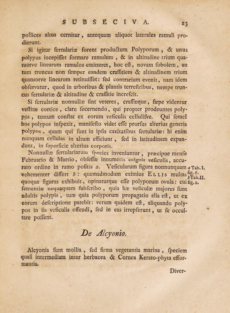 pollices altus cernitur, antequam aliquot laterales ramuli pro¬ dierunt. Si igitur fertulariae forent produStum Polyporum , & unus polypus incepiffet formare ramulum , & in altitudine trium qua» tuorve linearum ramulos emitteret, hoc eft, novam fobolem, an tum truncus non femper eandem craflitiem & altitudinem trium quatuorve linearum retinuiftet: fed contrarium evenit, nam idem obfervatur, quod in arboribus & plantis terreftribus, nempe trun¬ cus fertulariae & altitudine & craffitie increfcit. Si fertulariae nonnullae fint veteres, cralTaeque, faepe videntur veftitae cortice , clare fecernendo, qui propter prodeuntes poly- pos, tantum condat ex eorum veficulis cellulifve. Qui femel hos polypos infpexit, manifefto videt efle prorfus alterius generis polypos, quam qui funt in ipfis cavitatibus fertulariae: hi enim nunquam cellulas in altum efficiunt , fed in latitudinem expan¬ dunt, in fuperficie alterius corporis. Nonnullae fertulariarum fpecies inveniuntur , praecipue menfe Februario & Martio, obfeffae innumeris exiguis veficulis, accu¬ rato ordine in ramo pofitis a. Veficularum figura nonnunquam ^Tab.is vehementer differt b: quemadmodum eximius Ellis multasfet* „ , . . rr 1 , . Mab.IL quoque figuras exhibuit, opmaturque elie polyporum ovula: cuifig.2-. fententiae nequaquam fubfcribo , quia hae veficulae majores funt adultis polypis , tum quia polyporum propagatio alia eft, ut ex eorum defcriptione patebit: verum quidem eft, aliquando poly¬ pos in iis veficulis offendi, fed in eas irrepferunt? ut fe occul¬ tare pofTent. De Alcyonio, Alcyonia funt mollia, fed firma vegetantia marina, fpeciem quali intermediam inter herbacea & Cornea Kerato-phyta effor* mantia» Diver-