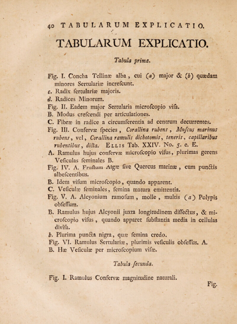 # i TABULARUM EXPLICATIO. ' ' - * ' : Tabula prima• \ ' •• c-~ V Fig, I. Concha Tellinae alba , cui Qa') major & (Jb) quaedam minores Sertulariae increfcunt. c. Radix fertulariae majoris. d. Radices Minorum. Fig. If. Eadem major Sertularia microfcopio vifa. B. Modus crefcendi per articulationes. C. Fibrae in radice a circumferentia ad centrum decurrentes. Fig. III. Conferva: fpecies , Corallina rubens , Mufcus marinus rubens, vel, Corallina ramulis dichotomis, teneris, capillaribus rubentibus, difta. Ellis Tab. XXIV- No. 5. e. E. A. Ramulus hujus confervae microfcopio vifus, plurimas gerens Veficulas feminales B. Fig. IV. A. Fruflum Algae live Quercus marina , cum punftis albefcentibus. B. Idem vifum microfcopio, quando apparent. C. Veficulae feminales, femina matura emittentia. Fig. V. A. Alcyonium ramofum , molle, multis Qa') Polypis ob felium. B. Ramulus hujus Alcyonii juxta longitudinem dilTeftus, & mi¬ crofcopio vifus, quando apparet fubftantia media in cellulas divifa. b. Plurima pun6ta nigra, quae femina credo. Fig. VI. Ramulus Sertulariae, plurimis veficulis obfeflus. A. / > N. B. Hae Veficulae per microfcopium vifae. Tabula fecunda. Fig. I. Ramulus Confervae magnitudine naturali. Fig. J