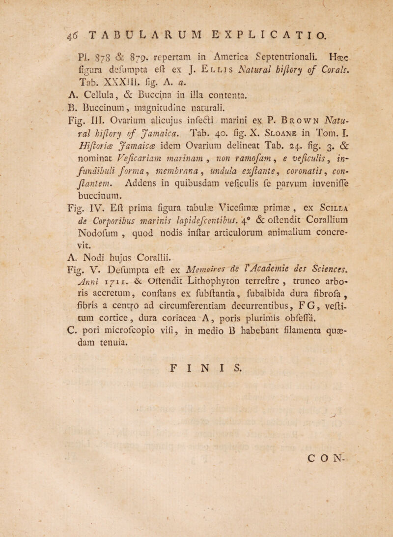 1 4.6 TABULARUM EXPLICATIO. - / Pl. $78 & 879. repertam in America Septentrionali. Haec figura defumpea efi: ex J. Ellis Natur al bijiory of Cor ah, Tab. XXXill, fig. A. a. A. Cellula, & Buccina in illa contenta. B. Buccinum, magnitudine naturali. Fig. III. Ovarium alicujus infedli marini ex P. Brown Natu- ral hiflory of Jamaica. Tab. 40. fig. X. Sloame in Tom. I. Hifioriee Jamaicce idem Ovarium delineat Tab. 24. fig. 3. & nominat Vificariam marinam, non ramofam , e ve ficulis, in¬ fundibuli forma, membrana , undula exfiante, coronatis, cgh- Jlantem. Addens in quibusdam veficulis fe parvum invenifie buccinum. Fig. IV. Efi: prima figura tabulae Vicefimae primae , ex Scilla de Corporibus marinis lapidefcentibus, 40 & ollendit Corallium Nodofum , quod nodis infiar articulorum animalium concre¬ vit. A, Nodi hujus Corallii. Fig. V* Defumpta efi: ex Memoires de TAcademie des Sciences. Anni 1711. <5c Ollendit Lithophyton terreftre , trunco arbo¬ ris accretum, conflans ex fubftantia, fubalbida dura fibrofa , fibris a centro ad circumferentiam decurrentibus, FG, vefti- tum cortice, dura coriacea A, poris plurimis obfefia. C. pori microfcopio vili, in medio B habebant filamenta quae¬ dam tenuia. FINIS. v » C O N- /