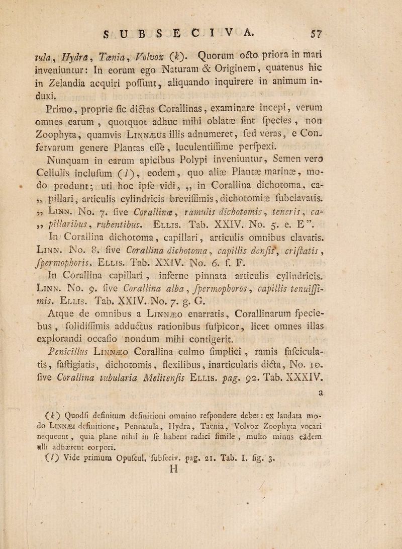 Pila, Hydra, Tcenia, Vohox (&). Quorum odio, priora in mari inveniuntur: In eorum ego Naturam & Originem, quatenus hic in Zelandia acquiri poliunt, aliquando inquirere in animum in¬ duxi. Primo, proprie fic di&as Corallinas, examinare incepi, verum omnes earum , quotquot adhuc mihi oblatae fint fpecies , non Zoophyta, quamvis Linn^us illis adnumerec, fed veras, e Con¬ fervarum genere Plantas efle, luculentiffime perfpexi. Nunquam in earum apicibus Polypi inveniuntur. Semen vero Cellulis inclufum (/), eodem, quo aliae Plantae, marinae, mo¬ do produnt; uti hoc ipfe vidi, ,, in Corallina dichotoma, ca- „ pillari, articulis cylindricis breviffimis, dichotomioe fubclavatis. 5, Linn. No, 7. five Corallina, ramulis dichotomis, teneris, ca- 3, pilaribus, rubentibus. Ellis. Tab. XXIV. No. 5. e. EN In Corallina dichotoma, capillari, articulis omnibus clavatis. Linn. No. 8. five Corallina dichotoma, capillis denfis, cr i [latis, fpermophoris. Ellis. Tab. XXIV. No» 6. f. F. In Corallina capillari , inferne pinnata articulis cylindricis, Linn. No. 9. five Corallina alba, fpermophoros, capillis temdjjl- mis. Ellis. Tab. XXIV. No. 7. g. G. Atque de omnibus a Linn^o enarratis, Corallinarum fpeeie- bus , folidifimiis adduclus rationibus fufpicor, licet omnes illas explorandi occafio nondum mihi contigerit. Peni cillus Lininueo Corallina culmo fimplici , ramis fafcicuia- tis, fafligiatis, dichotomis, flexilibus, inarticulatis didta, No. 10. live Corallina tubularia Melhenjis Ellis. pag. 92. Tab. XXXIV, a (£) Quodfi definitum definitioni omnino refpondere debet: ex laudata mo¬ do Linn^ei definitione, Pennatula, Hydra, Taenia, Volvos Zoophyta vocari nequeunt , quia plane nihil in fe habent radici fimile , muko minus eadem «111 adhaerent eorpori. (/) Vide primum Opufcul» fubfeciv. pag. 21. Tab. I, fig. 3. H 4