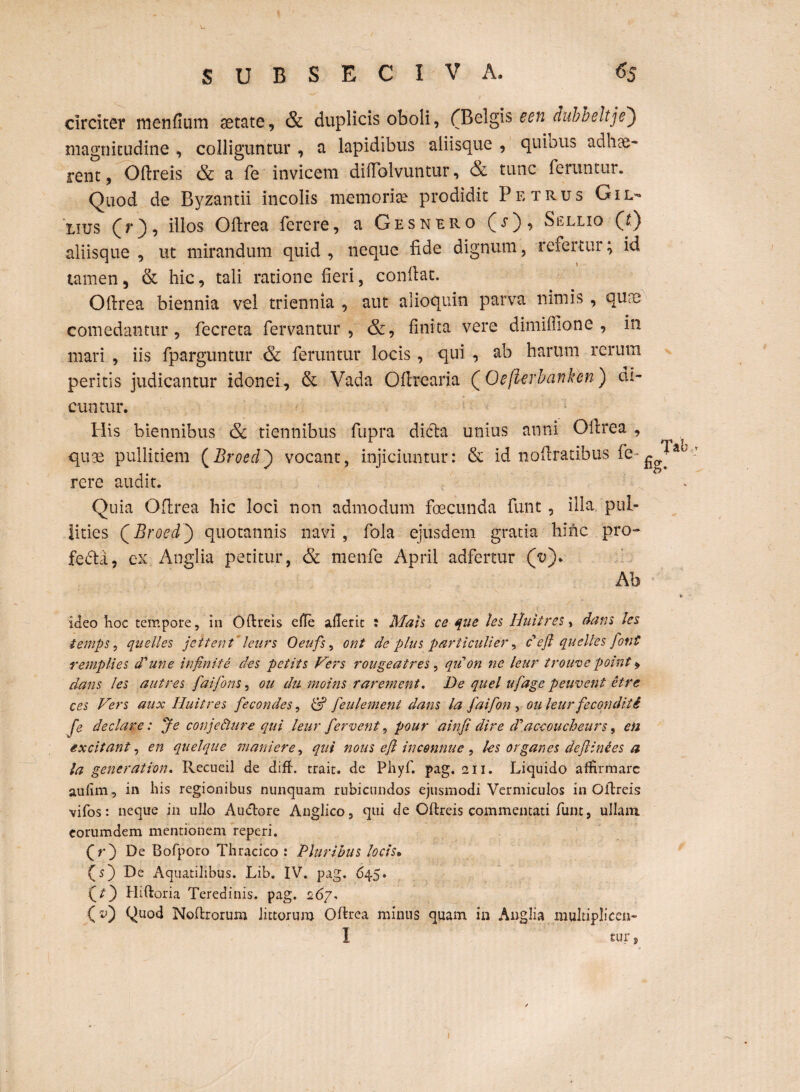 circiter menfium aetate, & duplicis oboli, (Belgis een dubbeltje') magnitudine , colliguntur , a lapidibus aliisque , quibus adhae¬ rent , Oftreis & a fe invicem difTolvuntur, & tunc feruntur. Quod de Byzantii incolis memoriae prodidit Petrus Gil¬ lius (r), illos Oftrea ferere, a Gesnero (j)> Sellio (t) aliisque , ut mirandum quid , neque fide dignum, refertur; id tamen, & hic, tali ratione fieri, confiat. Oftrea biennia vel triennia , aut alioquin parva nimis , qure comedantur, fecreta fervantur, &, finita vere dimiffione , in mari , iis fparguntur & feruntur locis, qui , ab harum rerum peritis judicantur idonei, & Vada Oftrcaria (Oeflerbankm) di¬ cuntur. Piis biennibus & tiennibus fupra dicta unius anni Oftrea , quae pullitiem (Broed) vocant, injiciuntur: & id noftratibus fe- : rere audit. Quia Oftrea hic loci non admodum foecunda funt , illa pul¬ lities QBroed') quotannis navi , fola ejusdem gratia hinc pro¬ fecta, ex Anglia petitur, & menfe April adfertur Ab * ideo hoc tempore, in Oftreis efTe aderit : Mats ce que les Iluitres, dans les iernps, quelles jeitent*leurs Oeufs, ont de plus particulier, c eji quelles fonl remplies dl' une infinite des pctits Hers rougeatres, qu on ne leur trouve point, dans les aut res faifons, ou du moins rar ement, De quel ufage peuvent etre ces Vers aux Huitres fecondes, & feulemeni dans la faifon , ouleurfecqnditi fe declar e: Je conjedture qui leur fervent, pour ainfi dire dfaccoucheurs, eii excitant, en quelque mani er e, qui nous efi in comme , les organes deftinies a la gener at ion, Recueil de dift. trait. de Pliyf. pag. 211. Liquido affirmare aufim, in his regionibus nunquam rubicundos ejusmodi Vermiculos in Oftreis vifos: neque in ullo Au&ore Anglico, qui de Oftreis commentati funt, ullam, eorumdem mentionem reperi. Q r') De Bofporo Thracico : Pluribus locis, fs) Le Aquatilibus. Lib. IV. pag. 645. (O Hiftoria Teredinis, pag. 267. (0 Quod Noftrorum littorum Oftrea minus quam in Anglia multiplicen- I tur,