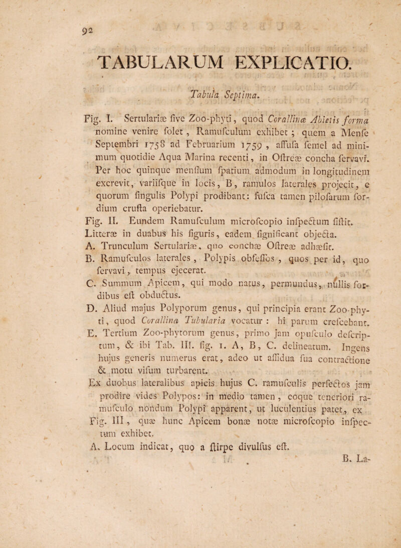 9 2 TABULARUM EXPLICATIO. _ ... i . yz' x . .. 7 ; Tabula Septima. ‘V • « , . . * 4 Jf Fig. I. Sertulariae fivc Zoo-phyti, quod Coralium Abietis forma nomine venire folet , Ramufculum exhibet ; quem a Menfe Septembri 1758 ad Februarium 1759 , affufa femel ad mini¬ mum quotidie Aqua Marina recenti, in Odreae concha fervavL Per hoc quinque mendum fpatium admodum in longitudinem excrevit, variifque in locis, B, ramulos laterales projecit, c quorum fingulis Polypi prodibant: fufea tamen pilofarum for- dium cruda operiebatur. Fig. II. Eundem Ramufculum microfcoplo infpeftum fidit. Litterae in duabus his figuris, eadem fignificant objecta. A. Trunculum Sertulariae, quo conchae Odreae adhaefit. B. Ramufculos laterales , Polypis obfefTos , quos per id, quo fervavitempus ejecerat. C. Summum Apicem, qui modo natus, permundus, nullis Ibi¬ dibus ed obductus. D. Aliud majus Polyporum genus, qui principia erant Zoo-phy¬ ti, quod Corallina Tubularia vocatur : hi parum crefcebanr. E. Tertium Zoo-phytorum genus, primo jam opufculo d e ferio- tum, & ibi Tab. III. fig. 1. A, B, C. deiineatum. Ingens hujus generis numerus erat, adeo ut affidua fua contractione & motu vifum turbarent. Ex duobus lateralibus apicis hujus C. ramufctilis perfectos jam prodire vides Polypos: in medio tamen, coque teneriori ra- mufculo nondum Polypi apparent, ut luculentius patet, ex Fig. III , quae hunc Apicem bonae notae microfcopio infpec- tum exhibet. A, Locum indicat, quo a ftirpe divulfus ed. • . b B. La- • . i