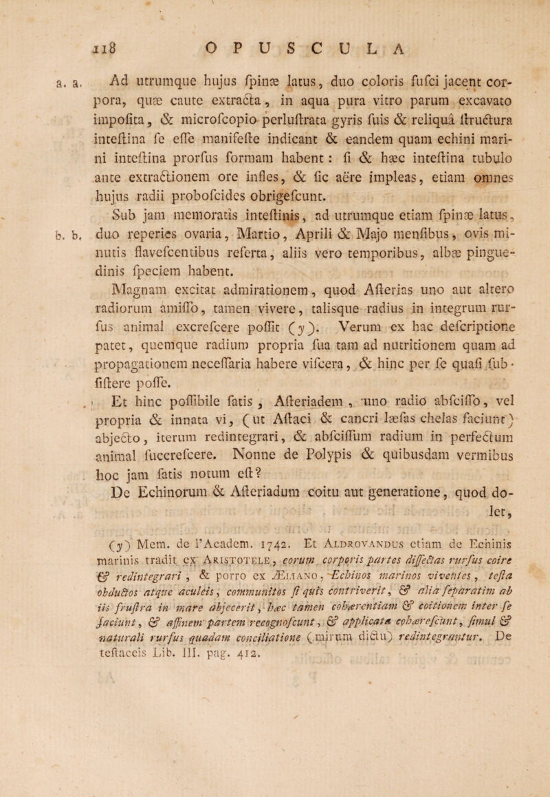 a. a. Ad utrumque hujus fpime latus, duo coloris fufci jacent cor¬ pora, qiice caute extradla, in aqua pura vitro parum excavato impolita, & microfcopio perluftrata gyris fuis & reliqua lhudtura inteftina fe efle manifelte indicant & eandem quam echini mari¬ ni inteftina prorfus formam habent: fi & haec inteftina tubulo ante extra&ionem ore infles, & fic aere impleas, etiam omnes hujus radii probofcides obrigefcunt. Sub jam memoratis inteflinis, ad utrumque etiam fpinae latus, b. b, duo reperies ovaria, Martio, Aprili & Majo menfibus, ovis mi¬ nutis flavefcemibus referta, aliis vero temporibus, albae pingue¬ dinis fpeciem habent. Magnam excitat admirationem, quod Aflerias uno aut altero radiorum amiflo, tamen vivere, talisque radius in integrum rur- fus animal excrefcere poflit (y). Verum ex hac defcriptione patet, quemque radium propria fua tam ad nutritionem quam ad propagationem neceflaria habere vifcera, & hinc per fe quali fub • fiftere polle. , ,i Et hinc poflibile fatis , Afleriadem , uno radio abfciflb, vel propria & innata vi, (ut Aftaci & cancri laefas chelas faciunt) abjedto, iterum redintegrari, & abfeiflum radium in perfedlum animal luccrefcere. Nonne de Polypis & quibusdam vermibus hoc jam fatis notum eft? De Echinorum & Afleriadum coitu aut generatione, quod do¬ let, Cy) Mem. de 1’Academ. 1742. Et Aldrovandus etiam de Echinis marinis tradit ex* Aristotele , eorum corporis partes diffeftas rurfus coire & redintegravi , & porro ex iEiAANO , 'Echinos marinos viventes, tejla obdudtos atque aculeis, communitos fi quis contriverit, & alia feparatim ab iis fruftra in mare abjecerit, hac tamen cohaerentiam & coitionem inter fe faciunt, & affinem partem recognofcunt, 6? applicata cohcerefcunt, fimul & naturali rurfus quadam conciliatione (mirum djdtu) redintegrantur. De teftaceis Lib. III. pag. 412. s