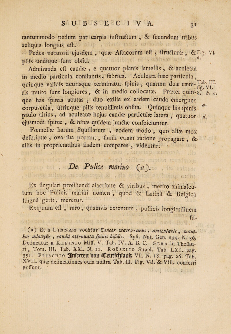 3r tantummodo pedum par carpis inflru&um , & fecundum tribus reliquis longius eft. Pedes natatorii ejusdem , quae Aftacorum efl * flru&une , &Fig. VL pilis undique fune obliti. Admiranda e 11 caudae , e quatuor planis lamellis, & aculeata in medio particula conflantis, fabrica. Aculeata haec particula, quinque validis acutisque terminatur fpinis, quarum duae caete- ris multo funt longiores, & in medio collocatae. Praeter quiri-sf'b. 'c* que has fpinas acutas , duo exilia ex eadem cauda emergunt corpuscula , utrinque pilis tenuiflimis oblita. Quinque his fpinis ^ paulo altius, ad aculeatae hujus caudae particulae latera , quatuor d. ejusmodi fpinae , & binse quidem junttse confpiciuntur. Foemellte harum Squillarum , eodem modo , quo aliae mox defcriptse , ova fu a portant, limili etiam ratione propagare , & aliis in proprietatibus iisdem compares , videntur. De Pulice marino ( o \ Ex lingulari profiiiendi alacritate & viribus , merito animalcu- Ium hoc Pulicis marini nomen , quod & Latina & Belgica lingua gerit, meretur. Exiguum efl , raro, quamvis extentum , pollicis longitudinem fu- CO Et a Linn^o vocatur Cancer maere-urus, articularis9 mani- bus adactylis , cauda attenuata fpinis bifidis. SyfL Nat. Gen. 239. N. 36. Delineatur a Klein 10 MifT. V. Tab. IV. A. B. C. Seba in Thefau- ri, Toni. III. Tab. XXL N. 11. RoesELio Suppi. Tab. LX11. pag. 35r* Frischio f nfectmbmi ^cutfcBKantt vn. N. 13. pag. 26. Tab.. XVII. quae delineationes cum noftra Tab. 111. Fig, V11/& V11L conferri poffunt. *