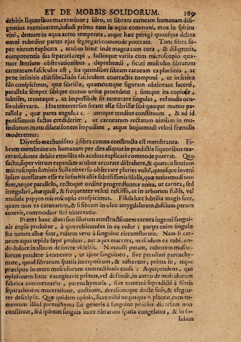 debitis liquoribus maceratione; ideo, ut fibram carneam humanam dili¬ gentius examinarem,infudi primo eam io aqua communi, mox in fpiritu vim’, demum in aqua aceto temperataatque haec peregi quoufque deleta omni rubedine partes ejus fegregari commode poterant. Tunc fibra fu- per vitrum explicata , acubus hinc indemagnacum cura , & diligentia,, componentia fua feparari coepi , fadisque variis cum microfcopio qua- tuor lientium obfervationibus , deprehendi 3 ficuti mufculus fibrarum carnearum fafciculus ett ita quamlibet fibram carneam ex plurimis’ , ac pene infinitis aliisfibridisln falckulum contrais componi , ut inferico filo confpitimus, qua? fibrilla, quamcumque figuram obtineant lacerti, parallelas femper fibique mutuo unitas procedunt ; funtque ita. copiore , iubtiles, tenuesque ut impoffibile fit numerare lingulas , vel nudis ocu¬ lis obfervare*, Has transverfim fecant alias fibrillas fibi quoque mutuo pa* ralleljs quas pares angulos c utroque tendineconfiituunt & ad id> potifiimum fadas crediderint , ut carnearum redatum nimiam in mu- feulbrum motu dilatationem impediant,,. atque hujusmodi veluti frasnulis moderentur; Diverfi>meehanifrno a fibra carneaconflruda eft membranea; Fi- branrmembrarneam humanam per dies aliquotin prasdidis liquoribus raa- ceravi,donec debite emollita ab acubus explicarrcommode poterat; Qua fadoifaper vitrum expanfam acubus accur3tedifirahere,& quatuor lentium microfcopio lufnmis Solis ob ve rfoohfervare pluries volu!,quoufque inveni ip(am conflatam eile ex infinitis aliis iubtilifiimisfiiiilisjquae uniusmodi non fhnr,neque parallela*. redoque ordine progrediuntur unita,, ut carnea, fed irregulari rinasquaJi r & frequenter veluti refciflb, ut in arborum foliis, vel madida papyro microfcopio confpicimus. Filulahasc fubtilia magis funt, quam non ca carnearum,^’ fi fibram in oleo amygdalarumdulcium parum. coxeris, commodior fiet obiervatio. praster hanc diverfiun filorum conffrudibnemcarnea ingenti fangui- nis copia; proluitur „ d'quo rubicundus in ea color ; parces enim finguljc ftja natura alba? funt ,. rubent vero a fanguine circumfluente. Nam fi car¬ neam aqua tepida laspe proluas, aut aqua maceres, . mufculumex rubuun- dodoloreinalbum definere videbis. Nonnulli putant, ruborem mufeu - lorum pendere1 a tomento ut ajunt finguineo, five peculiari parenchy¬ mate,fquod:fibrarum fpatiis interpofitum, & adhaerens, prima iit, atque praecipua inmotu mufculbrum contradionis caufa : Aquapendensqui opinionem hanc excogitavit primus,vel defendit,in aureo de mufctilorum fabrica commentaro ,, parenchymatis , five tomenti fupradidi a fibris feparationem maceratione, codione,. deraiioneque dode fatis,& elegan¬ ter defcripfit.. Qua? quidem opinio, licet mihi nequaquam placeat jCunvto*- mentum' illud parenchyma fui: generis a (anguine prorlus diverftim non conllituat,.fed ipfemet fanguis inter fibrarum (patia congelatus, & info- lidum