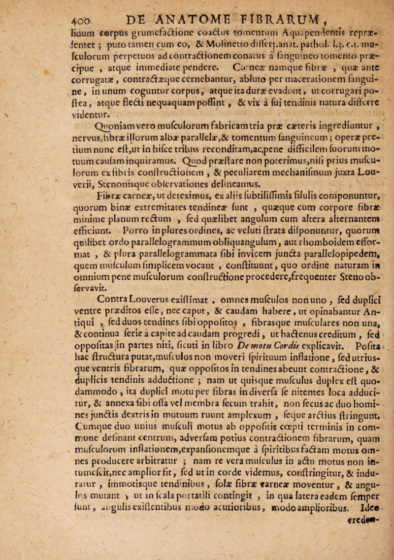 licium corpus grumefadione coadus tomentum Aquapendentis repr.tv fentet ; puto tamen cum eo, & Molinettodiflerj.anat. pathul. In>.c.i. imi- (culorum perpetuos ad tontradionem conatus a (anguineo tomento prae¬ cipue , atque immediate pendere. Orne# namque fibra? , quae ante corrugatae, contradaeque cernebantur, abluto per macerationem fangui- ne, in unum coguntur corpus, atque ita durae evadunt, ut corrugari po- fiea, atque fledi nequaquam polfint, & vix a fui tendinis natura differre videntur. , Quoniam vero mufculorum fabricam tria prae ca?teris ingrediuntur , nervusffibr# illorum alba* parallela?,& tomentum (anguineum; operae pre¬ tium nunc eft,ut in hifce tribus reconditam,ac,pene difficilem Tuorum mo¬ tuum caufam inquiramus. Quod pradare non poterimus,nili prius mufeu- lorum ex fibris condrudionem , & peculiarem mechanifmum juxta Lou- verii, Stenonisque oblcrvationes delineamus. Fibra carneae, ut deteximus, ex aliis fubtiliffimis fifulis componuntur, quorum bina? extremitates tendineae funt , quaeque cum corpore fibrae minime planum redum , fed quaelibet angulum cum altera alternantem efficiunt. Porro in pluresordines, ae velud (Irata difponuntur, quorum quilibet ordo parallelogrammum obliquangulum, aut rhomboidem effor- mat , & plura paradelogrammata (ibi invicem junda parallelopipedem, quem mulculum fimplicem vocant , conftituunt, quo ordine naturam ia omnium pene mufculorum con(lrudioneprocedere,frequenter Stenoob- (ervavit. Contra Louverus exiftimat , omnes muffulos non uno, led duplici ventre praeditos ede, nec caput, & caudam habere, ut opinabantur An¬ tiqui ^ fed duos tendines (ibi oppofitos , fibrasque mufculares non una, & continua ferie a capite ad caudam progredi, ut hadenus creditum , fed oppofitas-in partes niti, deuti in libro De motu Cordis explicavit. Polita* hac ftruduraputat,mufcuIosnon moveri fpirituum inflatione, fedutrius- que ventris fibrarum, quae oppofitos in tendines abeunt contradione, & duplicis tendinis addudione ; nam ut quisque mufculus duplex ed quo¬ dammodo , ita duplici motu per fibras indiverfa fe nitentes loca adduci¬ tur, & annexa fibi offa vel membra (ecum trahit, non fecusac duo homi¬ nes jundis dextris in mutuum ruunt amplexum , feque ardius dringunt. Cumque duo unius mufculi motus ab oppodtis ccepti terminis in com¬ mune delinant centrum, adverfam potius contradionem fibrarum, quam mufculorum inflationem,expanfionemque a fpiritibusfadam motus om¬ nes producere arbitratur ; nam re vera mufculus in adu motus non in- tumefdt,nec amplior fit, fed ut in corde videmus, condringitur, & indu¬ ratur , immotisque tendinibus, folx fibrae tarnea? moventur , & angu¬ los mutant * ut m fcalaportatili contingit , in qua latera eadem femper funt, angulis exifientibus modo acutioribus, modo amplioribus. Ideo €rcd#ft-