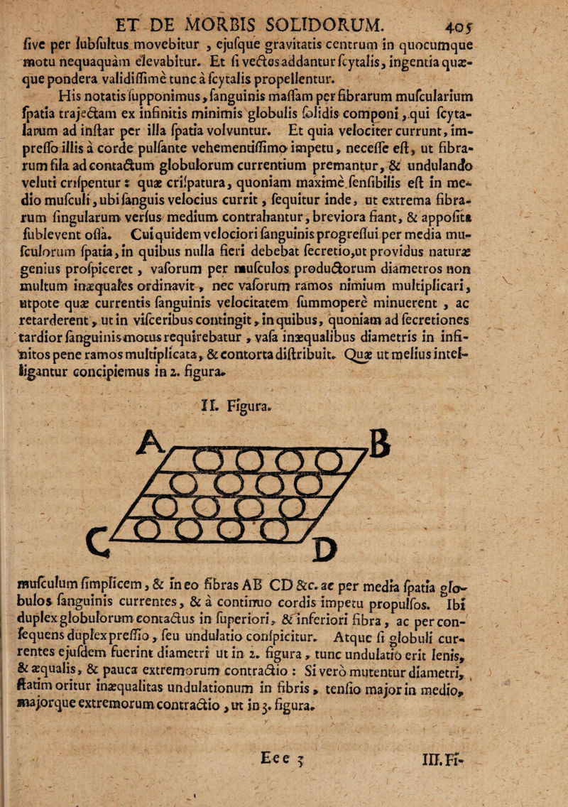 live per lubfultus movebitur , ejufque gravitatis centrum in quocumque motu nequaquam elevabitur. Et fi ve&esaddantur fcytalis, ingentia quas¬ que pondera validiflime tunc a fcytalis propellentur. His notatis fupponimus, fanguinis maffam per fibrarum mufcularium fpatia traje&am ex infinitis minimis globulis folidis componi, qui fcyta- larum ad inftar per illa fpatia volvuntur. Et quia velociter currunt, im- preflo illis a corde pulfante vehementilfimo impetu, necefie eft, ut fibra¬ rum fila ad contadum globulorum currentium premantur, & undulancfo veluti crtfpentur % quae crilpatura, quoniam maxime fenfibilis eft in me» dio mufculi ,ubifanguis velocius currit, fequitur inde, ut extrema fibra¬ rum lingularum verius medium contrahantur, breviora fiant, & appofita fublevent ofia. Cui quidem velociori fanguinisprogreflui per media mu- fculorum fpatia,in quibus nulla fieri debebat fecretio,ut providus naturas genius profpiceret, vaforum per ntufculos produ&orum diametros non multum imequafes ordinavit, nec vaforum ramos nimium multiplicari, utpote quas currentis fanguinis velocitatem fummopere minuerent , ac retarderent, ut in vifceribus contingit, in quibus, quoniam ad fecretiones tardior fanguinismotus requirebatur , yala inaequalibus diametris in infi¬ nitos pene ramos multiplicata, & contorta diftribuit. Quj ut melius intcl- ligantur concipiemus in 2. figura» If. Figura. mufculum ftmplicem, & m eo fibras AB CD &c. ac per media fpatia glo¬ bulos fanguinis currentes, & a continuo cordis impetu propulfos. *Ibi duplex globulorum eontadus in fuperiori, & inferiori fibra, ac percon- fequens duplexprelfio, feu undulatio conlpicitur» Atque fi globuli cur¬ rentes ejufdem fuerint diametri ut in 2. figura, tunc undulatio erit lenis, & aequalis, & pauca extremorum contra&io : Si vero mutentur diametri, ftatim oritur inaequalitas undulationum in fibris , tenfio major in medio, Ria jorque extremorum contrario , ut in 3. figura» Eee 3 iu.Ff- i