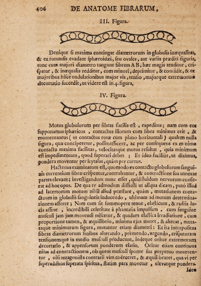 IIL, Figura, Denique fi maxima contingat diametrorum in globulis inaequalitas» ex rotundis evadant fphaeroidxi, feu ovales,aut variis praediti figuris* tunc cum majori diametro tangunt fibram A B, ha?c magis tenditur, cri- fpatur , & inaequalis redditur, cum minori, deprimitur, & concidit, & ex majoribus hifceundulationibus major vis,tenfio ,majorque extremorum decurtatio fuccedit, ut videre eft in 4. figura* XV. Figurao Motus globulorum per fibras facilis eft , expeditus; nam cum eoi fupponamus fphaericos , contactus illorum cum fibra minimus erit * Jc momentaneus ( ut conta&us rotas cum plano horizontali) qualem nulla figura , quas conciperetur, polfefcdfkere, ac per confequens exmnim® contadu maxima facilitas, velocitasqtie motus refultat , quia minimum eft impedimentum, quod fuperari debet ; Et ideo facilius, ut diximu% pondera moventur per fcytalas,quam per currus. Hadenus examinatum eft, quomodo ex contadu globulorum (angui¬ nis currentium fibrsecrifpentur,contrahantur, & contradione fua annexas partes elevant ; inveftigandum nunc eflet, quid fluidum nervorum confe¬ rat ad hoc opus. De qua re admodum difficili ut aliqua dicam, puto illud ad lacertorum motum nihil aliud pradlare, quam , mutationem conta- duum in globulis (anguineis inducendo , ultimam ad motum determina¬ tionem afferre ; Nam cum fit fummopere tenue , elafticum, & radiis lu¬ cis affine , incredibili celeritate a phantafia impuhum , cum (anguine mufculi jam jam movendi mifcetur, & quadam elaftica irradiatione , cum proportione tamen, & aequilibrio, minima ejus mutet, & alterat, muta- taque minimorum figura, mutantur etiam diametri: Et ita interpofitas fibras diametrorum finibus alterando , premendo,urgendo, crifpaturam tenfionemquc in medio mufculi producunt, indeque oritur extremorum decurtado , & appenforum ponderum elatio. Oritur etiam continuus nilus ad contractionem, ob quem mufculi fponte fua perpetuo moveren¬ tur , nifi antagonifta contrarii vim coerceret , & aequiLbraret, qua vi per fuperadditosfuperata fpiritus, ftatim pars movetur , elevatque pondera» Me*