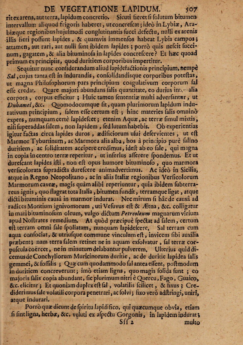 rit ex arena, aut terra, Iapidum concretio. Sicuri fieret fi folutum bitumen intervallum aliquod frigoris haberet, utconcrefcat;ideo inLybise, Ara- biaeque regionibus hujufmodi conglutinantis fucci defedu, nulli ex arenis illis fieri poflunt lapides, & quamvis immenlbs habeat Lybia campos; attamen, aut rari, aut nulli funt ibidem lapides ; porro quis nefcit fucci- num, gagatem ,& alia bituminofa in lapides concrefcere ? Et haec quoad primum ex principiis, quod duritiem corporibus impertitur. Sequitur nunc confiderandum aliud lapidefadionis principium, flemp£ Sal,cujus tanta efl; in indurandis, confolidandisque corporibus poteftas, ut magna Philofophorum pars principium coagulativum corporum fal ©fle credat. Quare majori abundans falis quantitate, eo durius intc*: alia corpora , corpus efficitur ; Huic tamen fententise multi adverfantar, ut Duhamel, &c. Quomodocumque fit, quam plurimorum lapidum indu- rativum principium, falem effe certum efl: ; hinc materies falis omnino expers, numquam certe lapidefcet; etenim Aquse, ac terra? fimul mixtis, nifi fuperaddas fidem, non lapidem , fed lutum habebis. Ob experientias igitur fadas circa lapides duros , aedificiorum ufui defervientes, ut eft Marmor Tyburtinum, ac Marmora alia alba, hos a principio pure falino duritiem, ac foliditatem accipere credimus, ideffc abeo fale, qui magna in copia in centro terrae reperitur , ut inferius aflerere fpondemus. Et ut durefcant lapides ifti, non eft opus humore bituminofo , quo marmora verficolorata fupradi&a durefcere animadvertimus. Ac ideo in Sicilia, atque in Regno Neopolitano , ac in aliis Italiae regionibus Verficolorum Marmorum caveae, magis quam alibi reperiuntiir, quia ibidem fubterra- reus ignis, quo flagrat tota Italia, bitumen fundit, terramque ligat, atque didi bituminis causa in marmor indurat. Nec mirum fi haede causa ad radices Montium ignivomorum , uti Vefuvus efl: & ^Etna, &c. colligatur inmaribituminofum oleum, vulgo didum Petreoleum magnarum virium apudNoftrates remedium. At quod praecipue fpedat ad falem, certum efl: terram omni fale fpoliatam, nunquam lapidefcere, Sal terram cum aqua conlbciat, & utriufque commune vinculum eft, invicem fibi auxilia praebent; nam terra falem retinet ne in aquam exfolvatur , fal terrse cor- pufcula coercet, ne in minutum delabantur pulverem* Ulterius quid di¬ cemus de Conchyliorum Muricinorum duritie, aede duritie lapidea falis gemmei, &fofliIis ; Qua? cum quodammodo fal antea effient, poftmodum in duritiem concreverunt; imo etiam ligna, quo magis folicja funt ; eo majoris falis'copia abundant, fic plurimum nitri e Quercu,Fago, Guaico, &c. elicitur; Et quoniam duplex eft fal, volatilis fcilicet, & fixus ; Cre¬ diderimus fale volatili corpora penetrari, ac folvi; fixo vero adftringi, uniri, atque indurari. Porro quae dicunt de fpirituEpidifico, qui quaecumque obvia, etiam fi fintligna, herba?, &c. veluti ex afpedu Gorgonis, in lapidemipdurat; Sff z multo