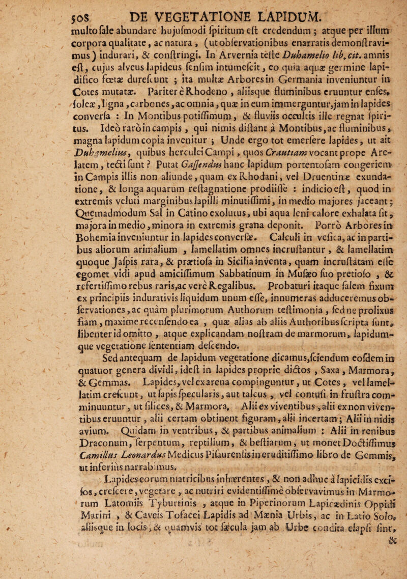 multo fa!e abundare hujufmodi fpiritum eft credendum ; atque per illum corpora qualitate, ac natura , (ut obfervationibus enarratis demonftravi- mus) indurari, & conftringi. In Arvernia tefte Duhameho lib.cit. amnis eft, cujus alveus lapideus fenfun intumefcit, eo quia aquae germine lapi- difico fceta? dureftunt ; ita multa? Arbores in Germania inveniuntur in Cotes mutatae. Pariter e Rhodeno , aliisque fluminibus eruuntur enfes» folea? ,1 gna,carbones,ac omnia, quae in eum immerguntur,jam ?n lapides eonveda : In Montibus potitfimum, & fluviis occultis ille regnat fpiri- tus. Ideo raro in campis , qui nimis diftant a Montibus,ac fluminibus, magna lapidum copia invenitur j Unde ergo tot emerfere lapides, ut ait Dub.imehnsy quibus Herculei Campi, quos Crautiam vocant prope Are¬ latem , te&i funt ? Putat GaJJendm hanc Iapidum portentoiam congeriem in Campis illis non aliunde, quam ex Rhodani, vel Druentina? exunda¬ tione, & longa aquarum reftagnatione prodiifle : indicio eft, quod in extremis veluti marginibus lapilli minutiflimi, in medio majores /aceant; Quemadmodum Sal in Catinoexolutus, ubi aqua leni calore exhalata fit, majora in medio, minora in extremis gratia deponit. Porro Arbores in Bohemia inveniuntur in lapides converfa?. Calculi in veftca, ac in parti¬ bus aliorum arimalium , lamellatim omnes incruftantur , & lamellatim quoque Jalpis rara, & prartiofa in Sicilia inventa, quam incruftatam eife egomet vidi apud amiciflirnurn Sabbatinum in Mufeo luo pretiolo , 5c refertiftimo rebus raris,ac vere Regalibus. Probaturi itaque falem fixum ex principiis indurativis liquidum unum efle, innumeras adduceremusob- fervationes,ac quam plurimorum Authorum teftimonia, fedne prolixus iiam , maxime recenfendoea , qua? alias ab aliis Authoribusfcripta funt* libenter id omitto , atque explicandam noftra.m de marmorum,, lapidum¬ que vegetatione iententiam defeendo. Sed antequam de lapidum vegetatione dicamus,ferendum eofdemin quatuor genera dividi,ideft in lapides proprie di&os , Saxa , Marmora, & Gemmas. Lapides, vel exarena compinguntur, ut Cotes, vel lamel¬ latim erdeunt, ut lapis fpecularis, aut talcus , vel contuli in fruflra com¬ minuuntur, ut filices, & Marmora, Alit ex viventibus, alii ex non viven¬ tibus eruuntur , alii certam obtinent figuram , alii incertam; Alii in nidis avium. Quidam in ventribus, ^ partibus animalium : Alii in renibus Draconum, ferpentum, reptilium, &beftiarum, ut monetDo&iiflmus Camillus Leonardus Medicus Pifaureniisineruditiffimo libro de Gemmis, ut inferius narrabimus. Lapides eorum matricibus inkerentes , & non adhuc a lapicidis exci- fos, erdeere, vegetare , ac nutriri evidentilf me obfervavimus in Marmo¬ rum Latomiis Tyburtinis , atque m Piperinoram Lapicsedinis Oppidi Marini , & Caveis Tofacei Lapidis ad Ma?nia Urbis, ac in Latio Solo, afiisqne in locis ,& quamvis tot fecula jam ab Urbe condita elapf f nr.