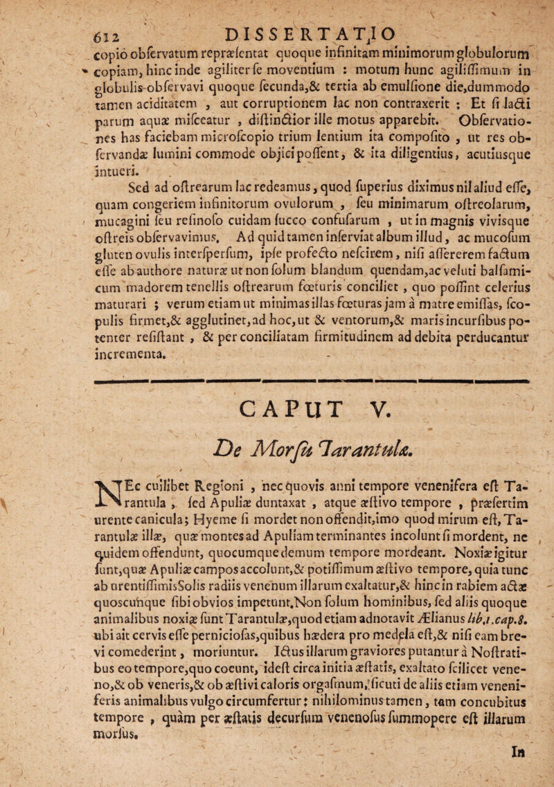 copio obfcrvatum repr#fentat quoque infinitam minimorum globulorum copiam, hinc inde agiliter fe moventium : motum hunc agili (limum in globulis obfervavi quoque fecunda,& tertia ab emulfione die,dummodo tamen ariditatem , aut corruptionem lac non contraxerit ; Et fi ladi parum aquae mifceatur , diftindior ille motus apparebit. Obfervatio- nes has faciebam microfcopio trium lentium ita compofito , ut res ob- fervand# lumini commode objici poffent, & ita diligentius, acutiusque Intueri. Sed ad oflrearum lac redeamus, quod fuperius diximus nil aliud effe, quam congeriem infinitorum ovulorum , feu minimarum oflreolarum, mucagini leu refinofo cuidam fucco confufarum , ut in magnis vivisque oflreisobfervavimus, Ad quid tamen inferviat album illud, ac mucofum gluten ovulis interfperfum, ipfe profedo nefcirem, nifi attererem fadum ette abauthore natur# ut non folum blandum quendam,ac veluti baifami- cum madorem tenellis oflrearum fceturis conciliet, quo pottint celerius maturari ; verum etiam ut minimas illas foeturas jam a matre emiffas, (co¬ pulis firmet,& agglutinet,ad hoc,ut & ventorum,& marisincurfibus po¬ tenter refiflant , & per conciliatam firmitudinem ad debita perducantur incrementa. caput v. De Aiorju TarantuU. i ■ V : 1 . - ✓ ' - . ^ NEc cuilibet Regioni , nec quovis anni tempore venenifera eft Ta- rantula , fed Apuli# duntaxat , atque #ftivo tempore , pr#fertim urente canicula; Hyeme fi mordet non offendit,tmo quod mirum eft,Ta- rantulae ill#, qu# montes ad Apuliam terminantes incolunt fi mordent, ne q,uidem offendunt, quocumque demum tempore mordeant. Noxi#igitur funt,qu# Apuli# camposaccoIunt,& potittimum#ttivo tempore, quia tunc ab arentittimisSolis radiis venenum illarum exaltatur,& hinc in rabiem ad# quoscuhque fibi obvios impetunt*Non folum hominibus, fed aliis quoque animalibus noxi# funt Tarantul#,quod etiam adnotavit ^Elianus ltbjxap.8. ubi ait cervis effe perniciofas,quibus b#dera pro medela ett,& nifi eam bre¬ vi comederint, moriuntur. Idus illarum graviores putantur a Nottrati- bus eo tempore,quo coeunt, ideft circa initia #flatis, exaltato fcilicet vene¬ no^ ob veneris,& ob #ftivi caloris org3frnum,:ficuti de aliis etiam veneni¬ feris animalibus vulgo circumfertur: nihilominustamen, tam concubitus tempore , quam per #ftatis decurfum venenofus fummoperc eft illarum morius* ~ N *> ■ ' -  ^ Ia