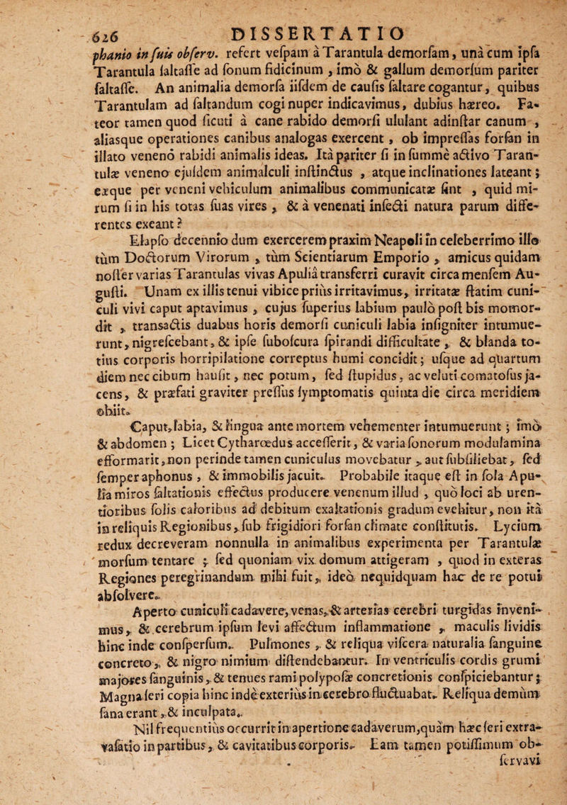 fhanio in fuis obferv. refert vefpatn aTarantuIa demorfam, una cum ipfa Tarantula laltaffe ad fonum fidicinum , imo & gallum demorlum pariter faltaffe. An animalia demorfa iifdem de caufis faltare cogantur, quibus Tarantulam ad faltandum cogi nuper indicavimus, dubius haereo. Fa¬ teor tamen quod ficuti a cane rabido demorfi ululant adindar canum , aliasque operationes canibus analogas exercent, ob impreflas forfan in illato veneno rabidi animalis ideas. Ita pariter fi infumme a&ivo Taran- tulae veneno ejuldem animalculi inftindus , atque inclinationes lateant j exque per veneni vehiculum animalibus communicatae fint , quid mi¬ rum fi in his totas fuas vires , & a venenati infedi natura parum diffe¬ rentes exeant ? Eiapfo decennio dum exercerem praxim Neapoli in celeberrimo ilf® tum Dororum Virorum , tum Scientiarum Emporio , amicus quidam nolier varias Tarantulas vivas Apulia transferri curavit circa menfem Au- gufti. Unam ex illis tenui vibice prius irritavimus, irritata? ftatim cuni¬ culi vivi caput aptavimus , cujus fuperius labium paulo pofl; bis momor¬ dit transa&is duabus horis demorfi cuniculi labia infigniter intumue¬ runt, nigrefcebant,& ipfe fubofcura fpirandi difficultate , & blanda to¬ tius corporis horripilatione correptus humi concidit; ufque ad qtiartum diem nec cibum hau fit, nec potum, fed ftupldus, ac veluticomatofus ja¬ cens, & profati graviter prefiiis lymptomatis quinta die circa meridiem ©biito Caputjabia, &fingua ante mortem vehementer intumuerunt; ima & abdomen ; Licet Cytharcedusacceflerit, & varia fenorum modulamina efFormarics non perinde tamen cuniculus movebatur , aut fubfiliebat, fed femperaphonus , & immobilis jacuit* Probabile itaque efl: in fola Apu* lia miros faltatlonis effectus producere venenum illud , quo loci ab uren- tioribus folis caloribus ad debitum exaltationis gradum evehitur, non ita in reliquis Regionibus, fub frigidiori forfan climate conftitutis» Lycium redux decreveram nonnulla in animalibus experimenta per Tarantulas ' morfum tentare fed quoniam vix domum attigeram , quod in exteras Regiones peregrinandum mihi fuit, idea nequidquam hac de re potui abfolvereo. Aperto cuniculi cadavere, venas,^ arterias cerebri turgidas inveni¬ mus, cerebrum ipfum levi affe&um inflammatione , maculis lividis hinc inde confperfunv Pulmones , & reliqua vifcera naturalia fanguine concreto , & nigro nimium diflendebamur. In ventriculis cordis grumi majores fanguinis ,& tenues rami polypofie concretionis confpiciebantur; Magna feri copia hinc indeexteriusinceEebro fluduabau Reliqua demum; fana erant , & inculpata,. Nil frequentius occurrit ibapertionecadaverum,quam haec feri extra- vafiajo in partibus, & cavitatibus corporis,. Eam tamen potilfimum ob- fervavi