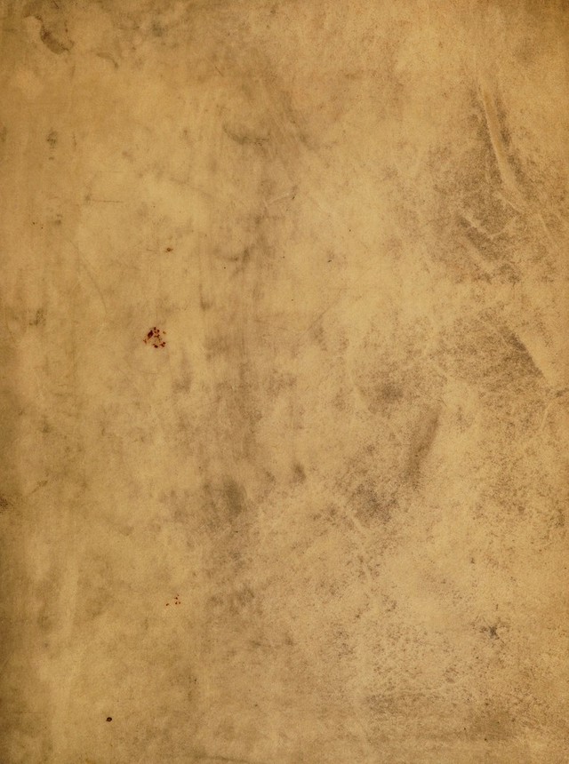 digitised image 1